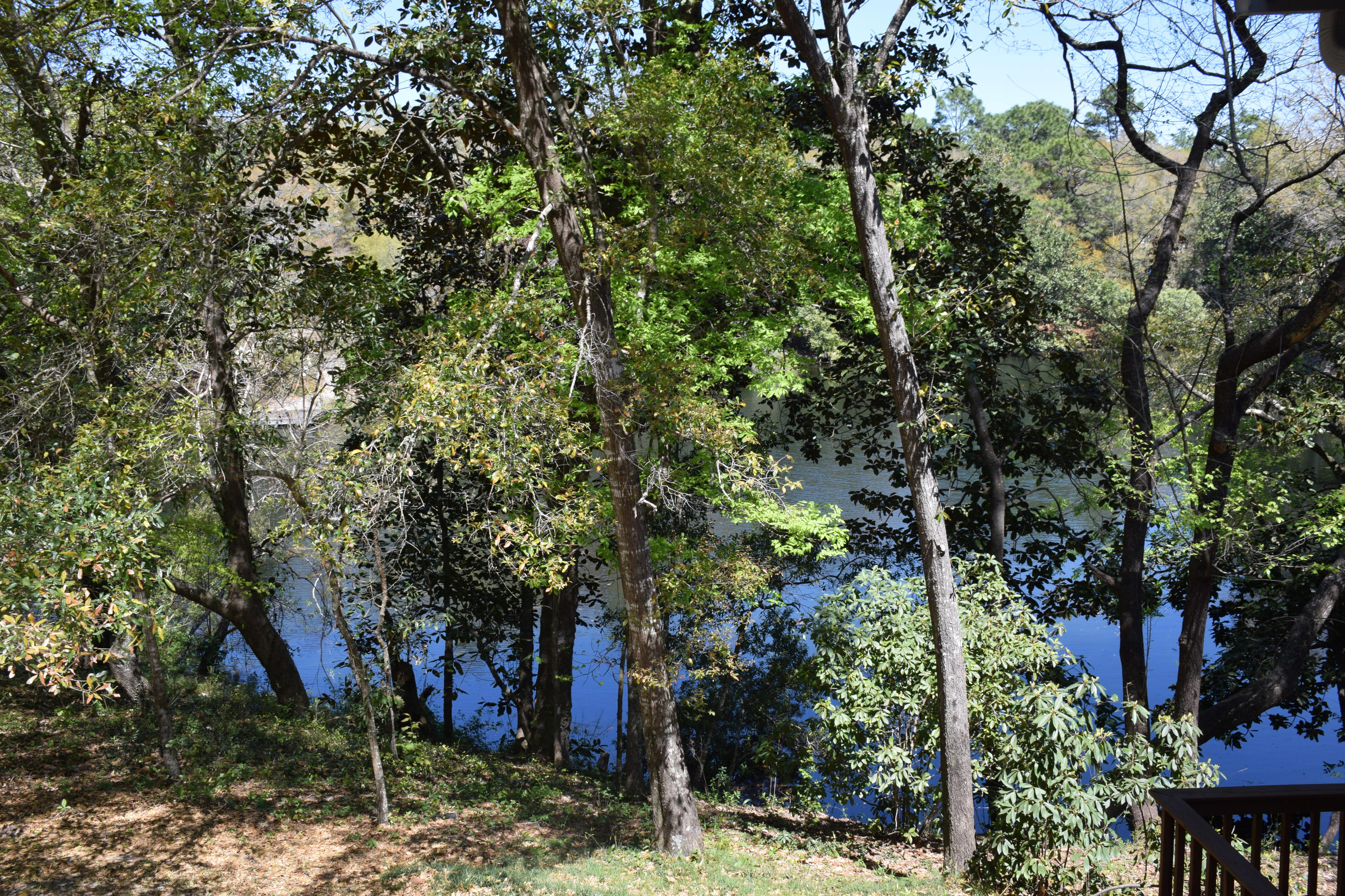 ROCKY BAYOU COUNTRY CLUB ESTATES 1 - Residential