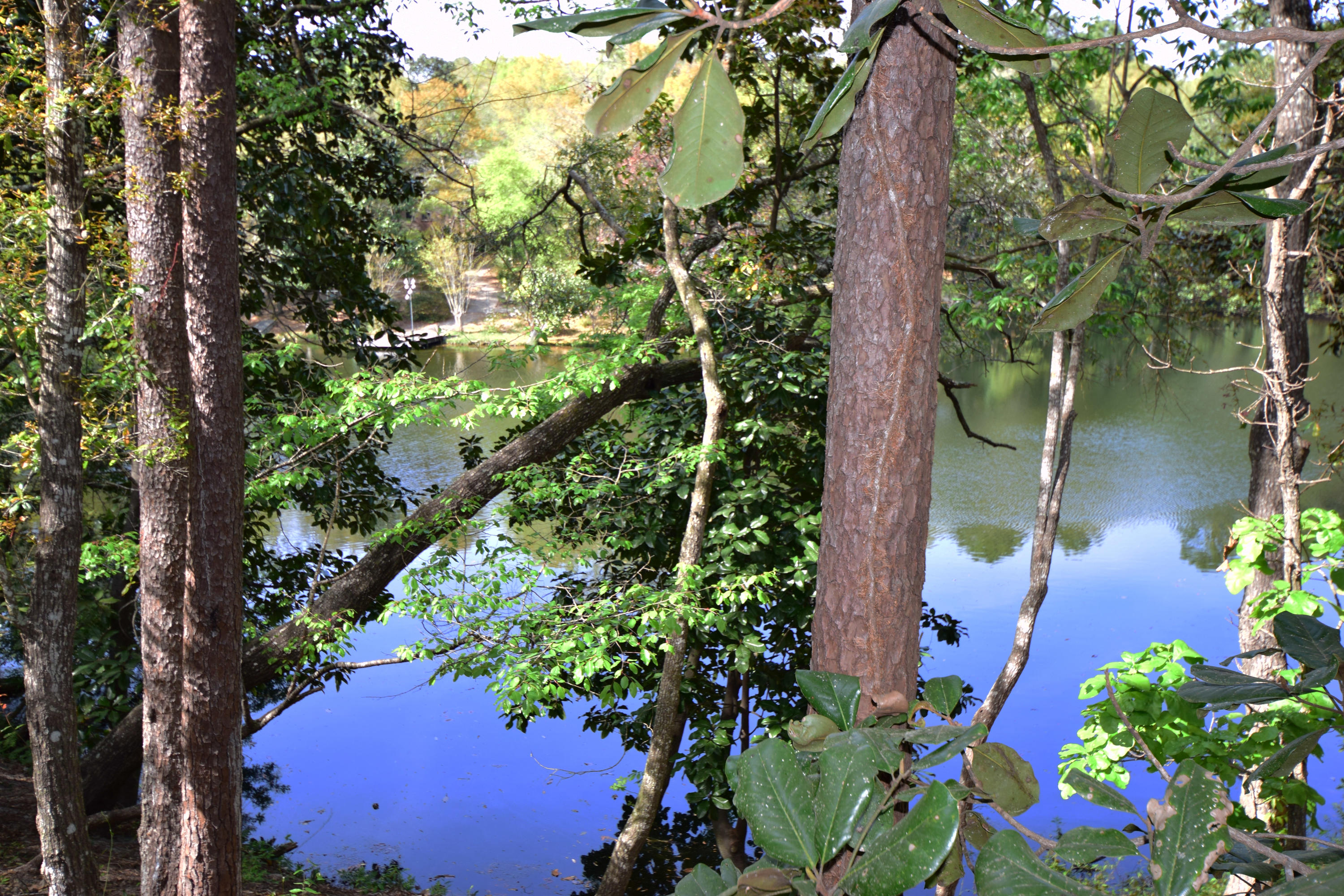 ROCKY BAYOU COUNTRY CLUB ESTATES 1 - Residential