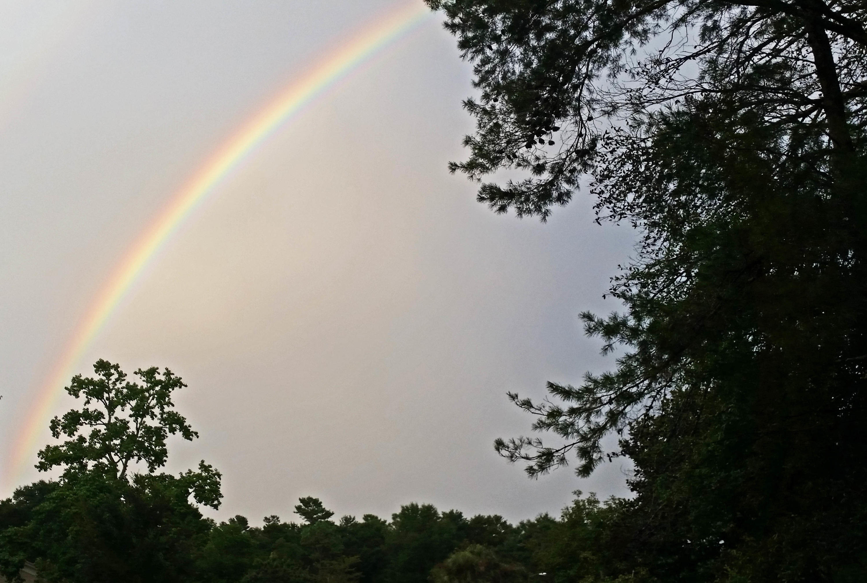 ROCKY BAYOU COUNTRY CLUB ESTATES 1 - Residential