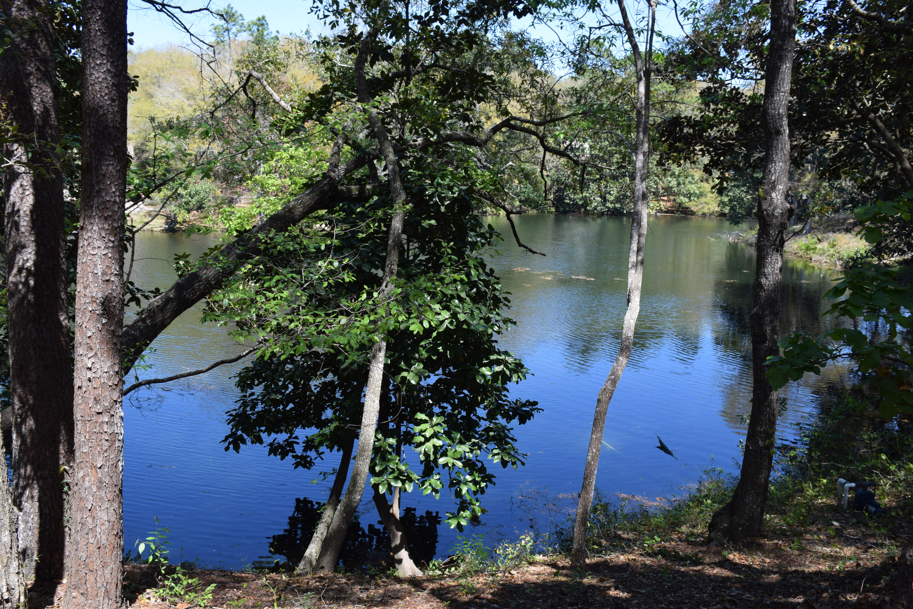 ROCKY BAYOU COUNTRY CLUB ESTATES 1 - Residential