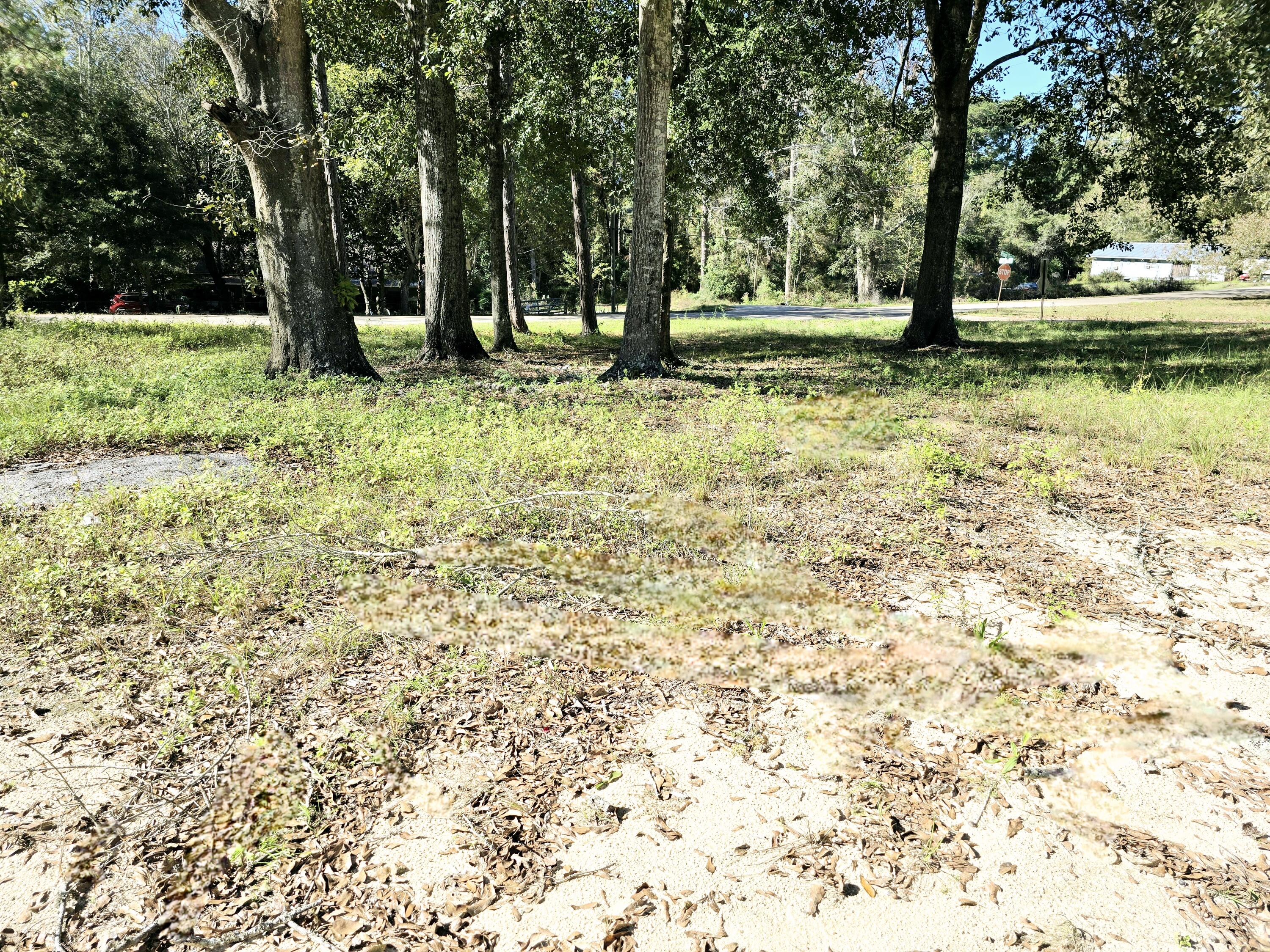 Build your dream home in this 150' x 110 ' Lot, in Laurel Hill, FL! This large corner lot is located less than a 1 mile from the relaxing Washington Lake. Just a couple of minutes from US-331 N. Electricicy, water and Internet available. The School District is Paxton for all grades.