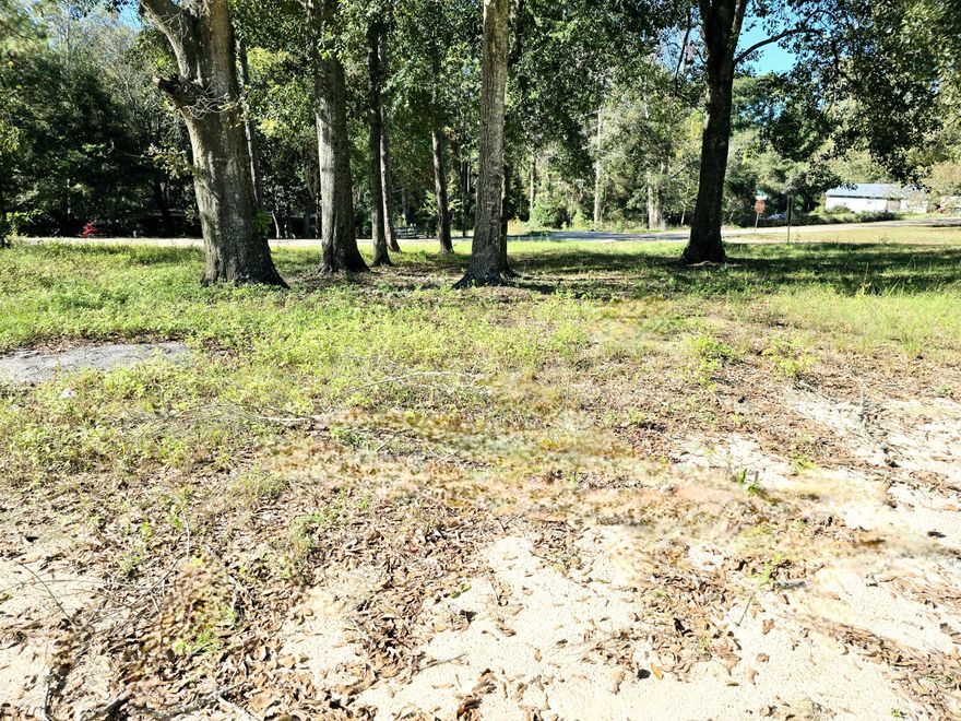 Build your dream home in this 150' x 110 ' Lot, in Laurel Hill, FL! This large corner lot is located less than a 1 mile from the relaxing Jackson Lake. Just a couple of minutes from US-331 N. Water, electric and Internet available in the road. The School District is Paxton for all grades.
