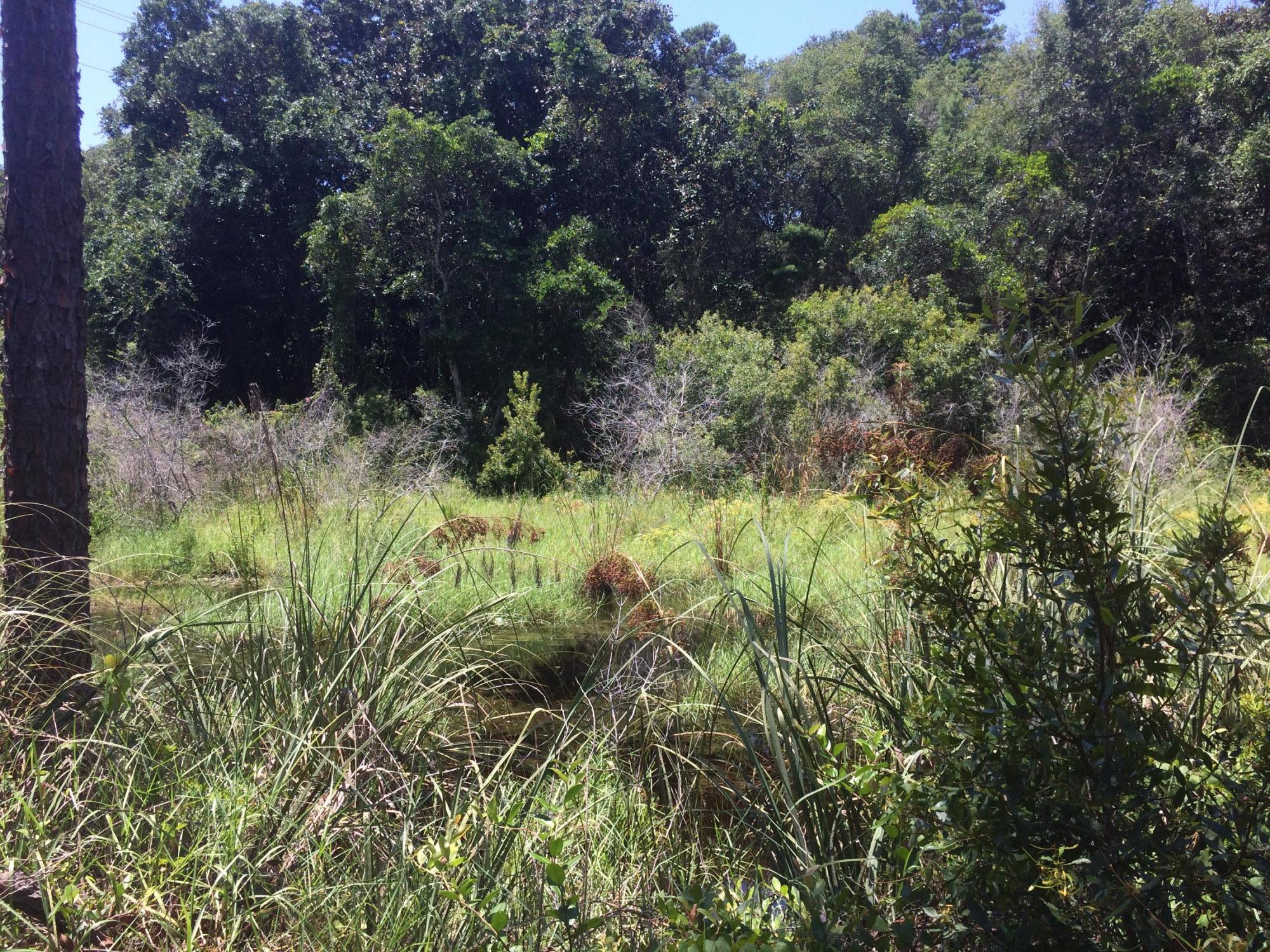 FOREST LAKES PH I - Land