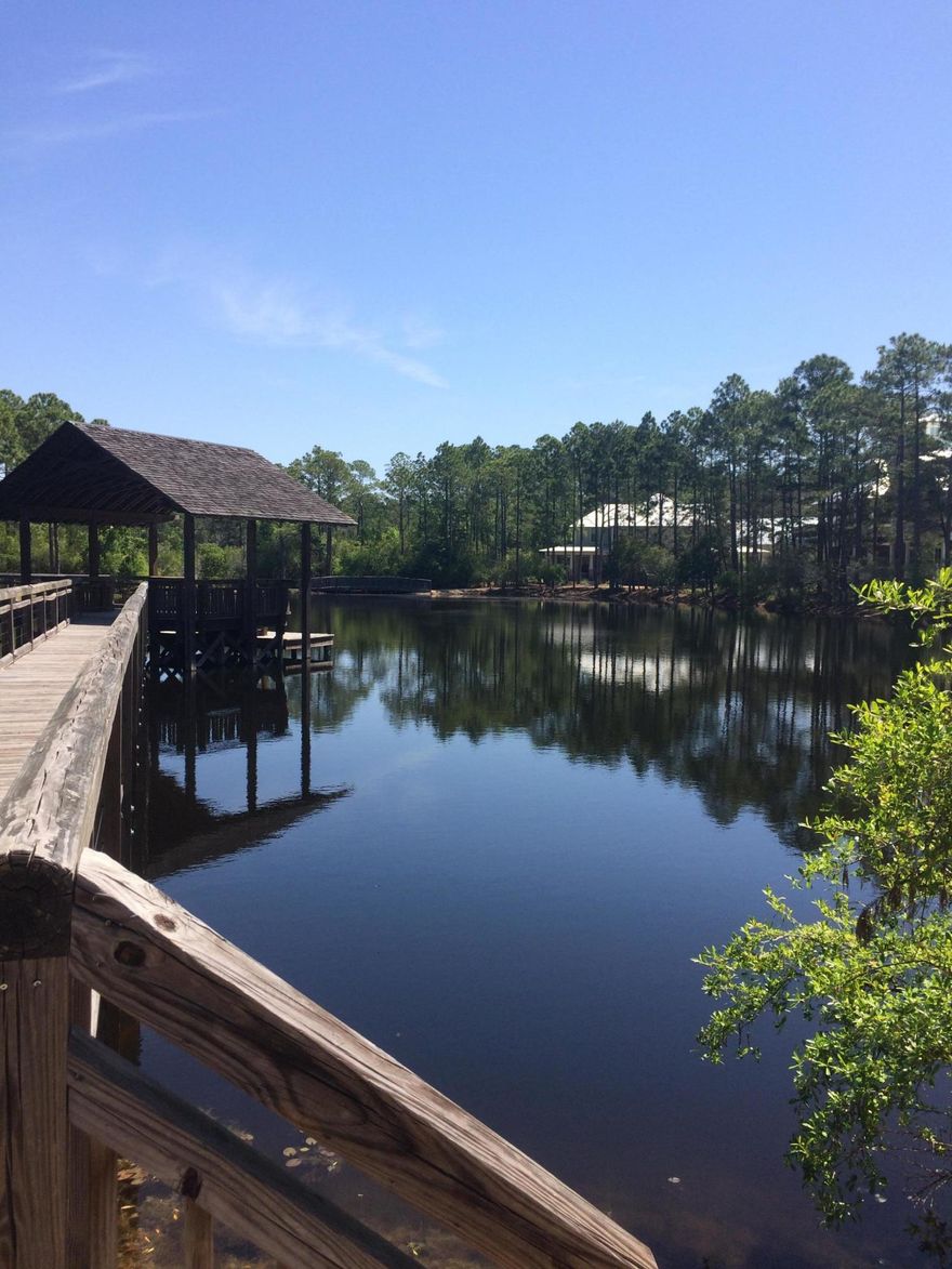 Lowest priced lot in this highly desirable neighborhood. Though not technically waterfront, this lot backs up to one of 30A's famous coastal dune lakes, Draper Lake. Bring your YOLOs and kayaks for aquatic adventure at your back door! Forest Lakes is a peaceful retreat nestled along 30A between Blue Mountain Beach and Gulf Place. With its tranquil lakes, charming Craftsman style homes, inviting green spaces and exquisite community pool, Forest Lakes is the perfect place to build your dream home by the Beaches of South Walton. Buyer is responsible for personally verifying details about this property. All information contained in the listing is believed to be accurate but not guaranteed.