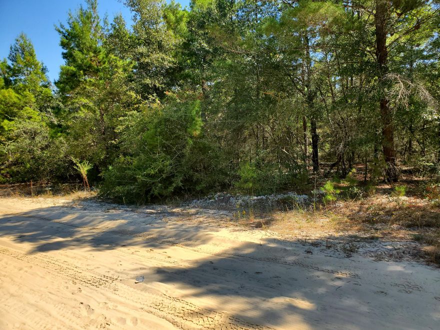 Wooded one-acre lot just outside city limits of DeFuniak Springs, Florida.  Enjoy life in an atmosphere of a little country with just a short drive to the Gulf Coast beaches.  Water and electric utilities are in the area.  Buyer is responsible to check all dimensions and other pertinent services to the area.