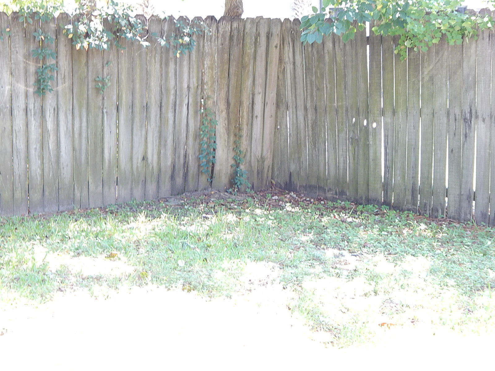 SHAMROCK ESTATES 1ST ADDN - Residential