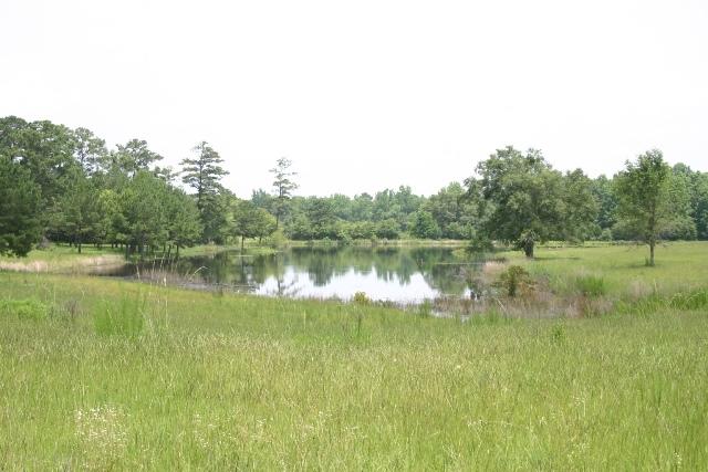 Tax District: Laurel Hill (District 17) - Residential