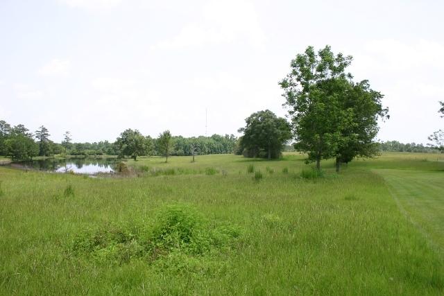 Tax District: Laurel Hill (District 17) - Residential