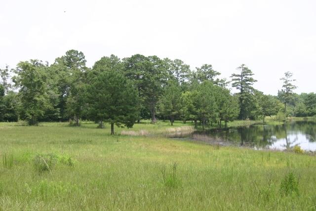 Tax District: Laurel Hill (District 17) - Residential