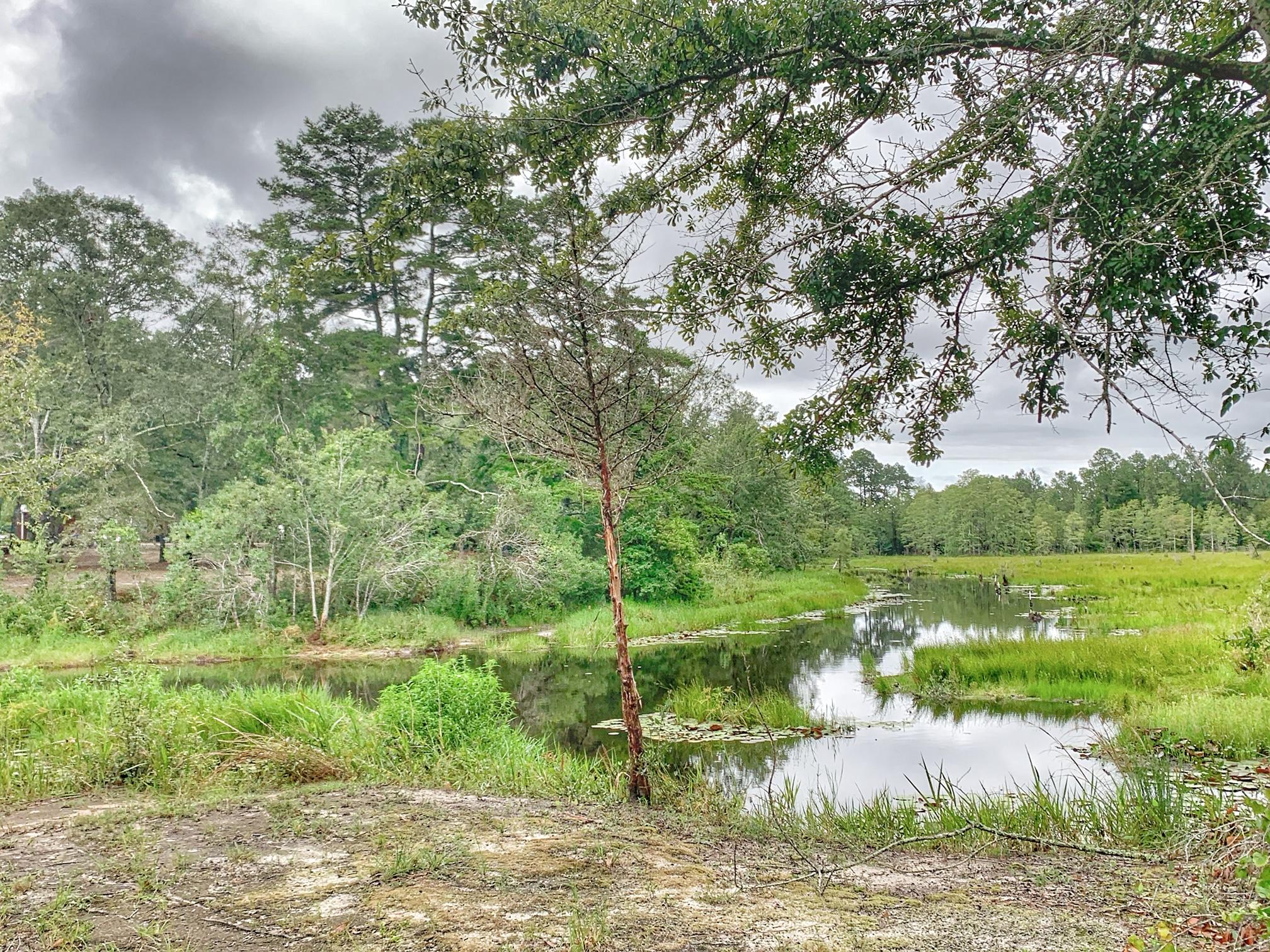 JUNIPER HILLS UNIT 1 - Residential