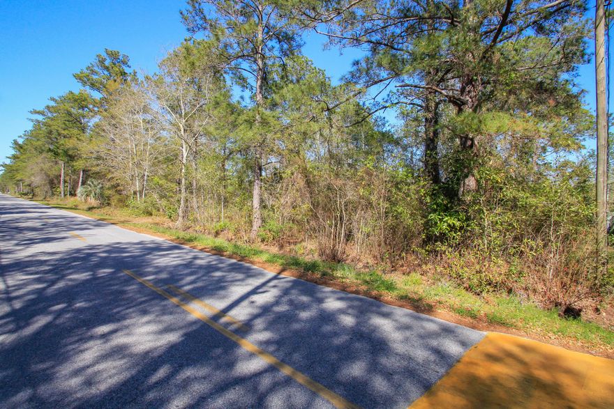 Great home site, for your family home or a spec home. Located just minutes from the beaches of South Walton and the 331 park. With the location and price you can't go wrong.