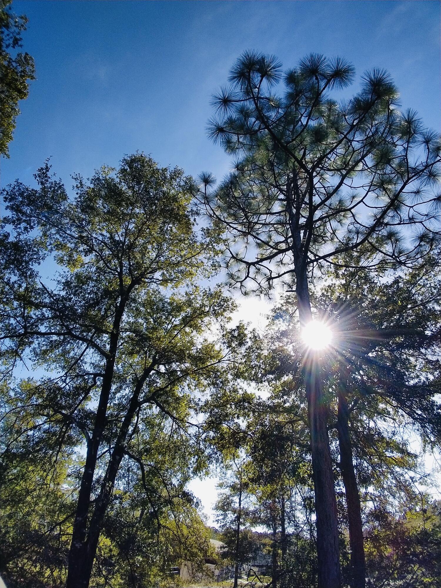 PLEASANT RIDGE ESTATES S/D - Land