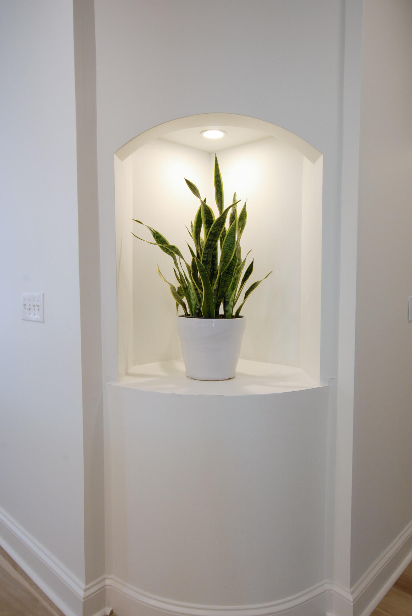 ALEXANDER AT PALM COURT - Residential