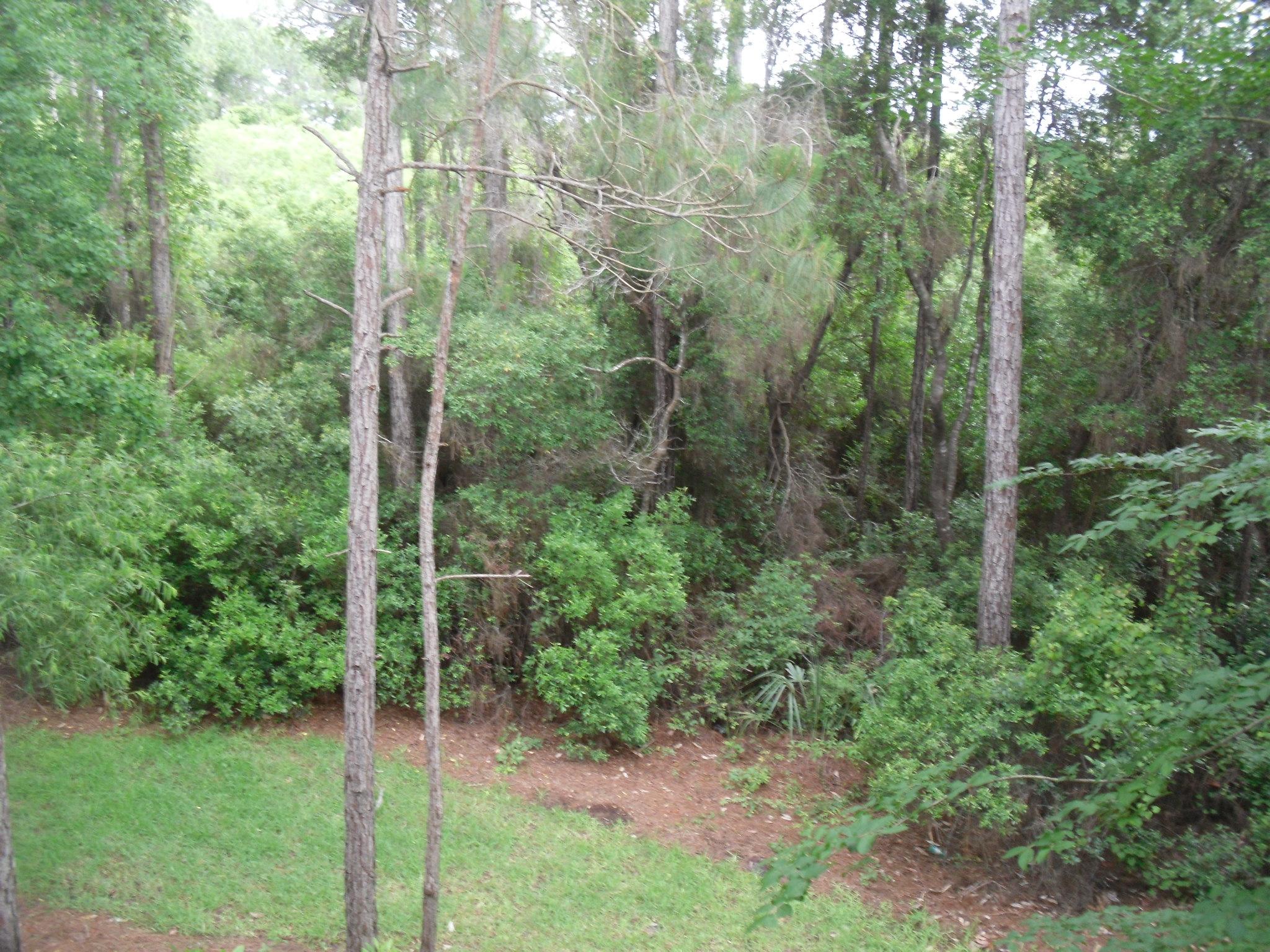 CRYSTAL COVE - Residential