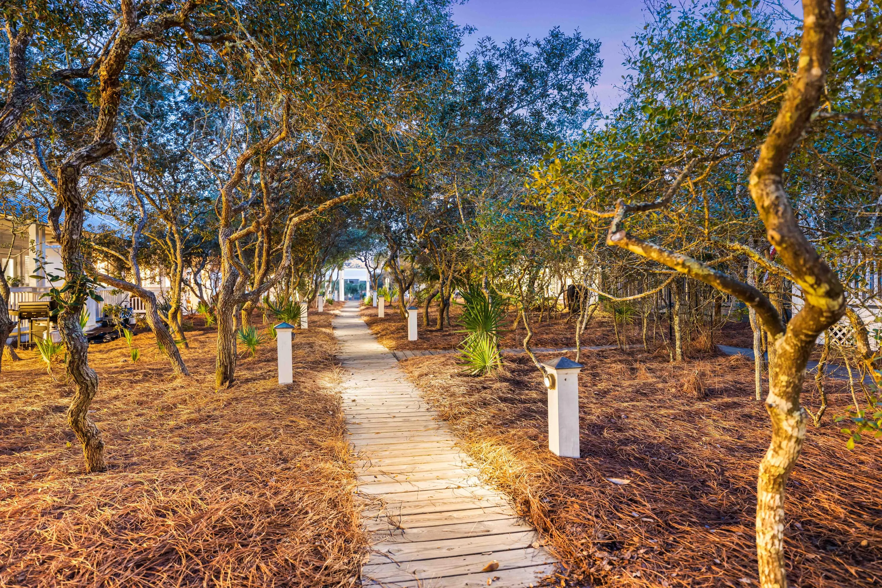 Seacrest, Florida 32461, United States, 3 Bedrooms Bedrooms, ,2 BathroomsBathrooms,Residential,Active,92558