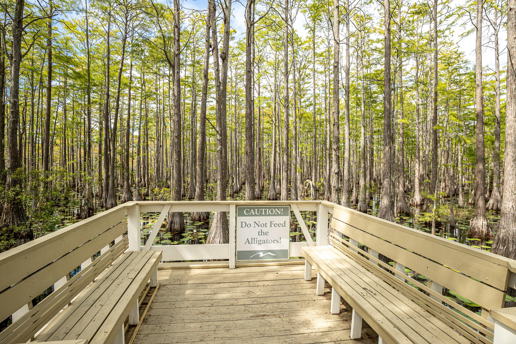 CYPRESS DUNES - Residential
