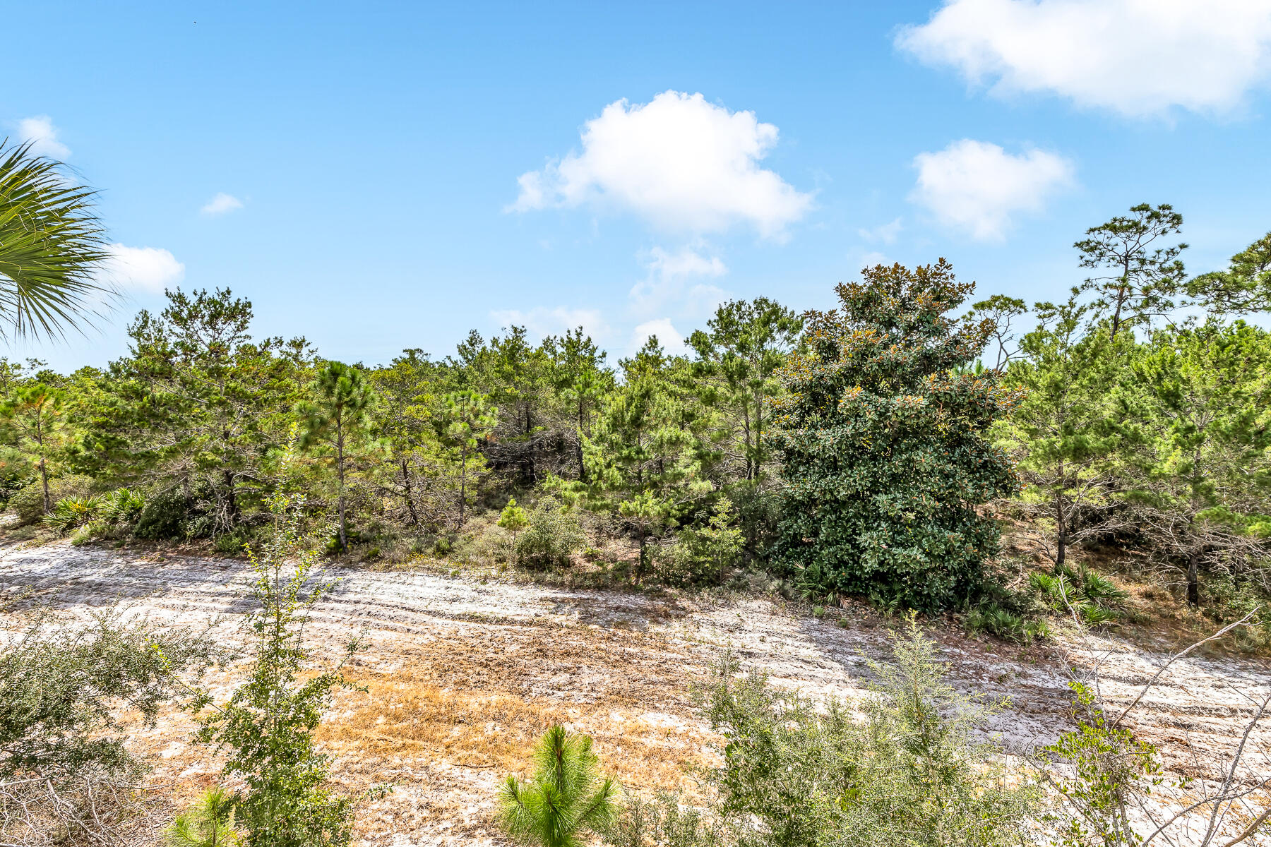CYPRESS DUNES - Residential