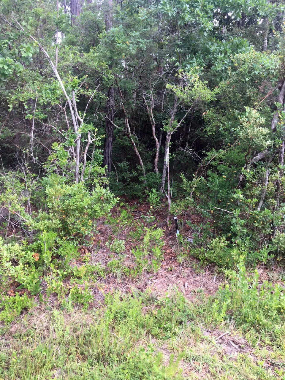 MAGNOLIA BEACH - Land