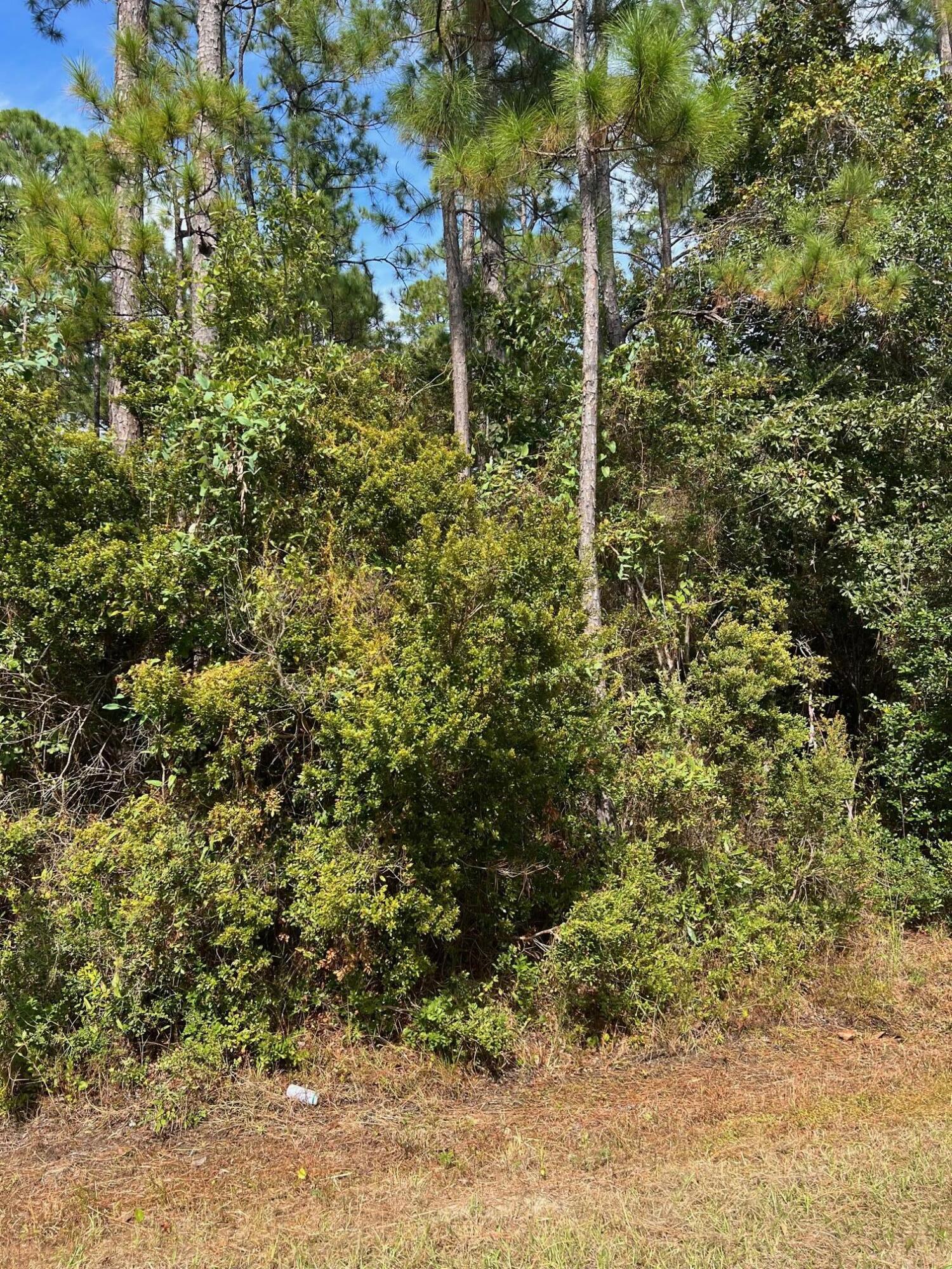 MAGNOLIA BEACH - Land