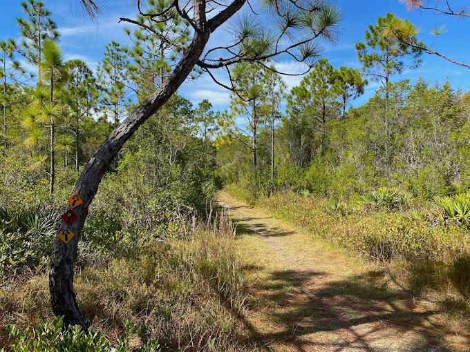 MAGNOLIA BEACH - Land