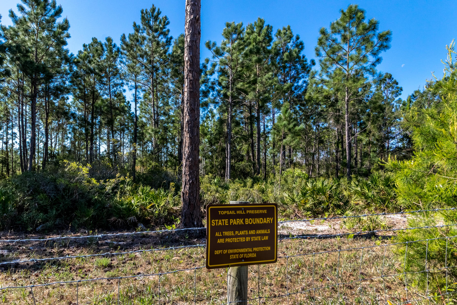 Beachview Heights - Residential