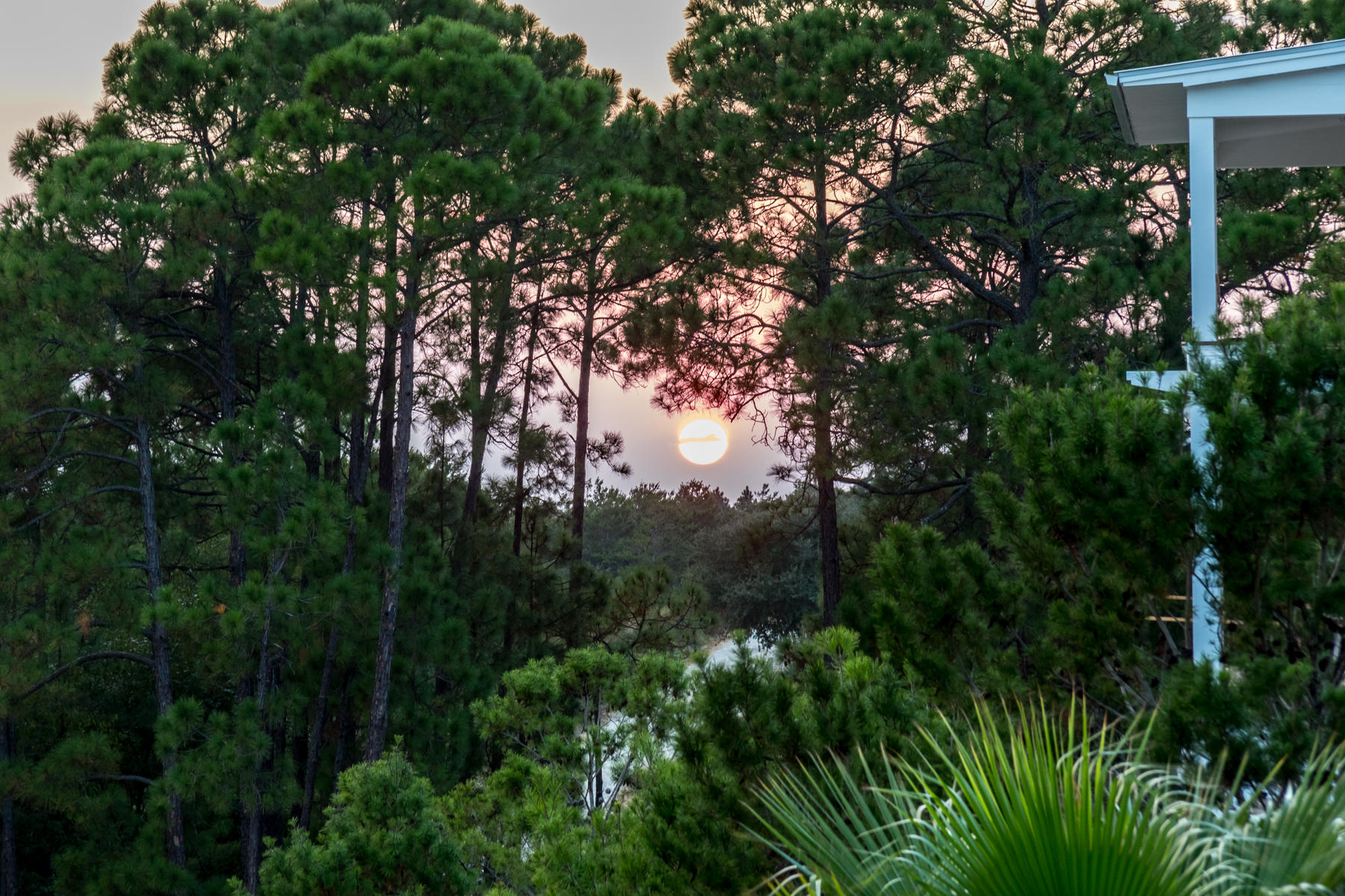 Beachview Heights - Residential