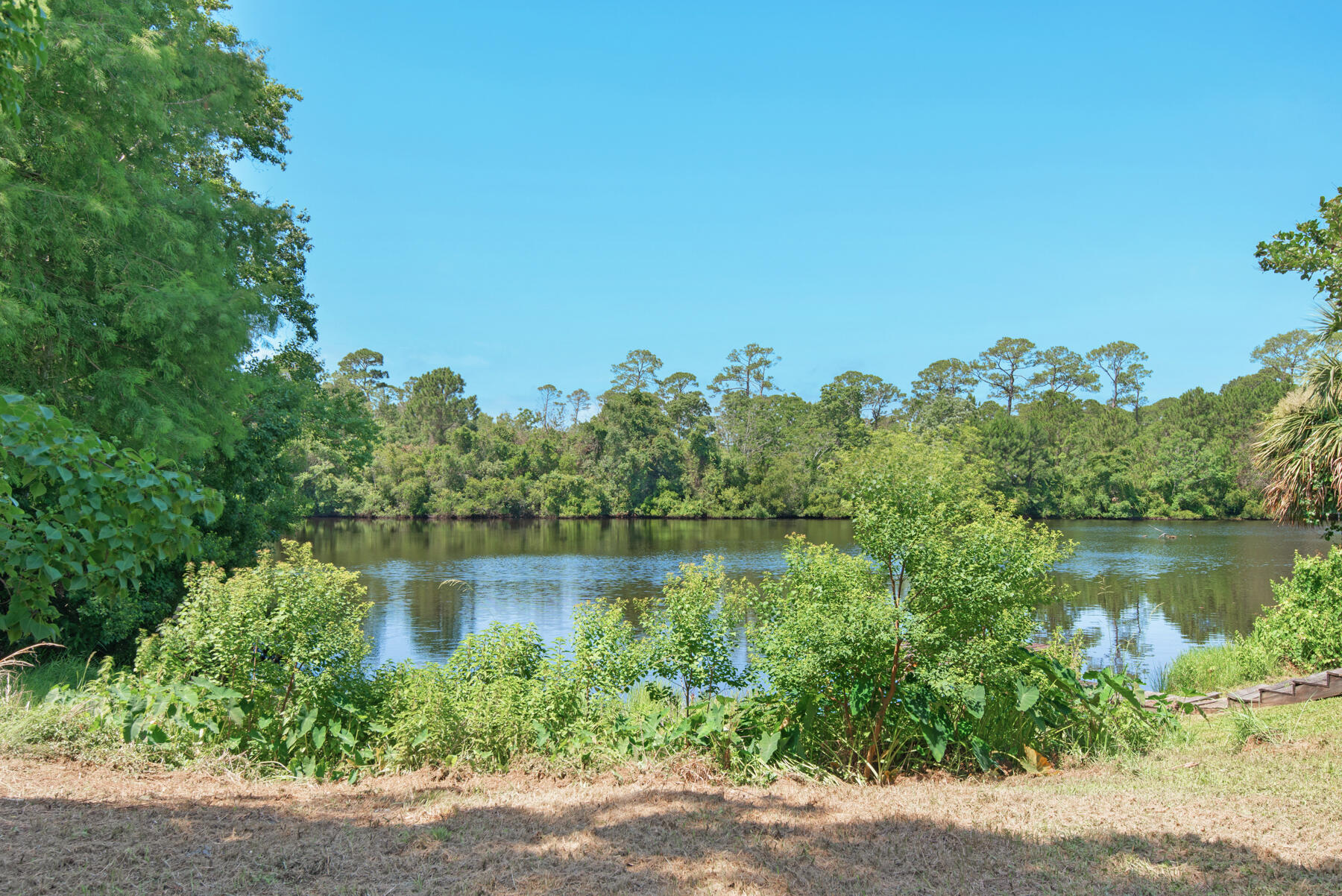 PARISH PINES - Residential