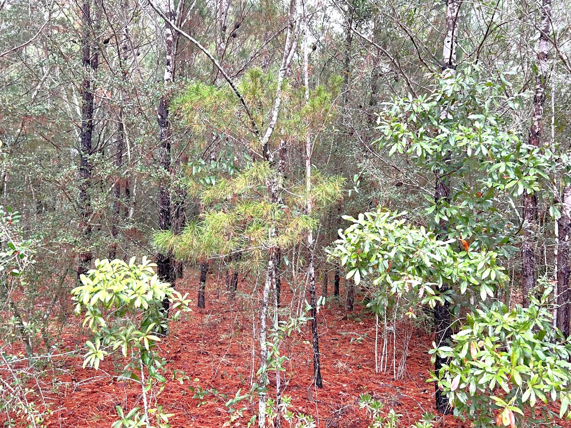 OAKWOOD HILLS UNIT 1 - Land