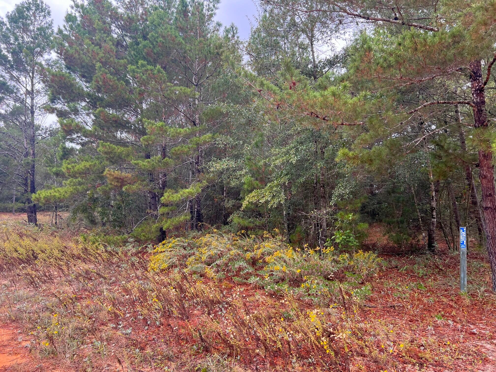 OAKWOOD HILLS UNIT 1 - Land