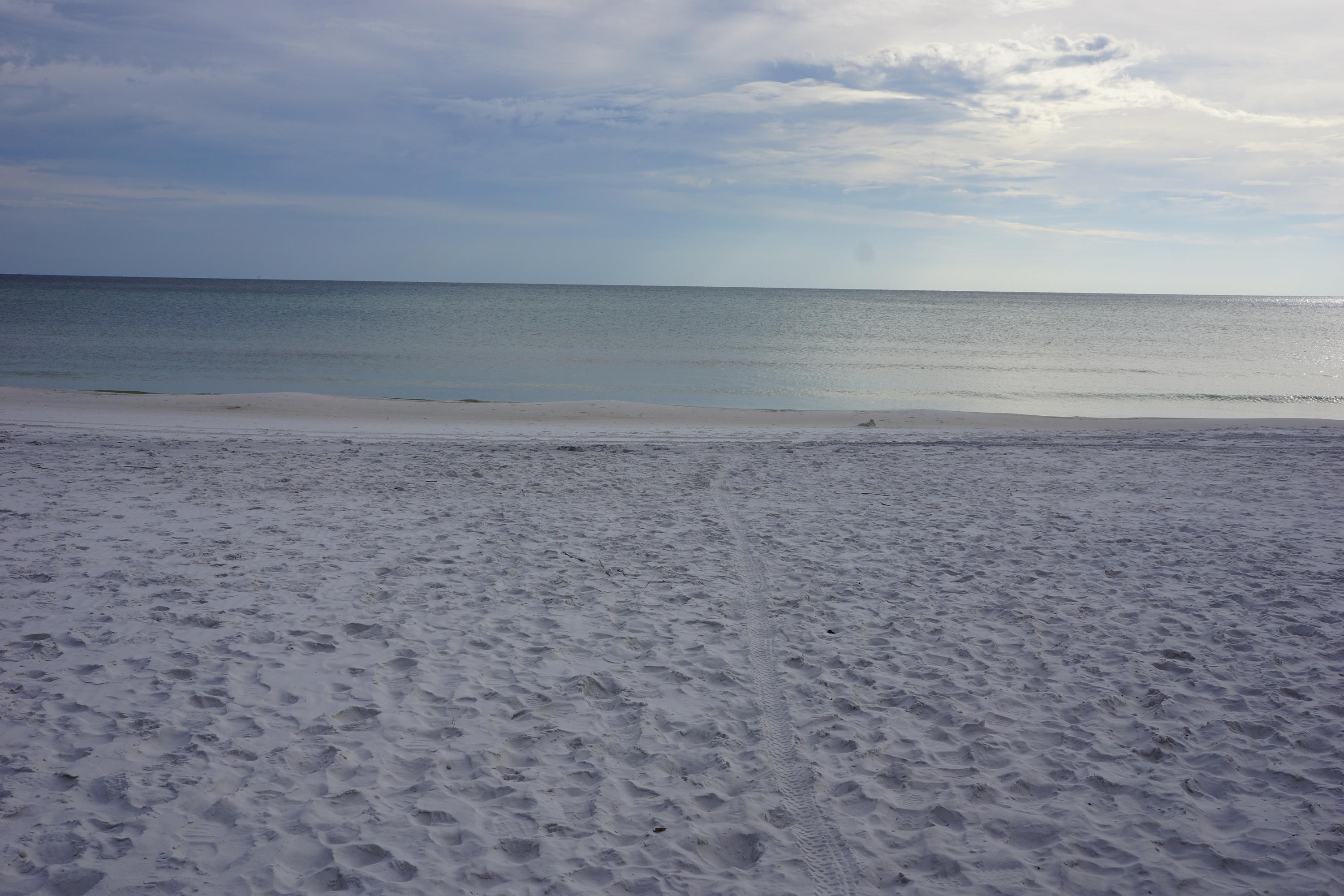 BLUE GULF RESORT - Land