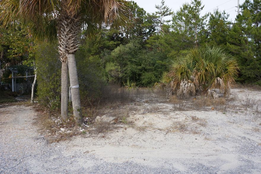 Outstanding opportunity to build SOUTH of 30A in a charming community with NO HOA FEES in beautiful Blue Mountain Beach! Located in Blue Gulf Resort, this lot is within walking or biking distance to beach accesses, varied local restaurants and boutique shopping. Blue Mountain Beach offers a carefree coastal lifestyle with longstanding local businesses including an organic grocery, a creamery, shopping centers and restaurants. Popular area communities including Gulf Place, Grayton Beach, Seaside and WaterColor are minutes away along with Highway 98 for easy access to both Destin and Panama City Beach. Adjacent lot also available for purchase.