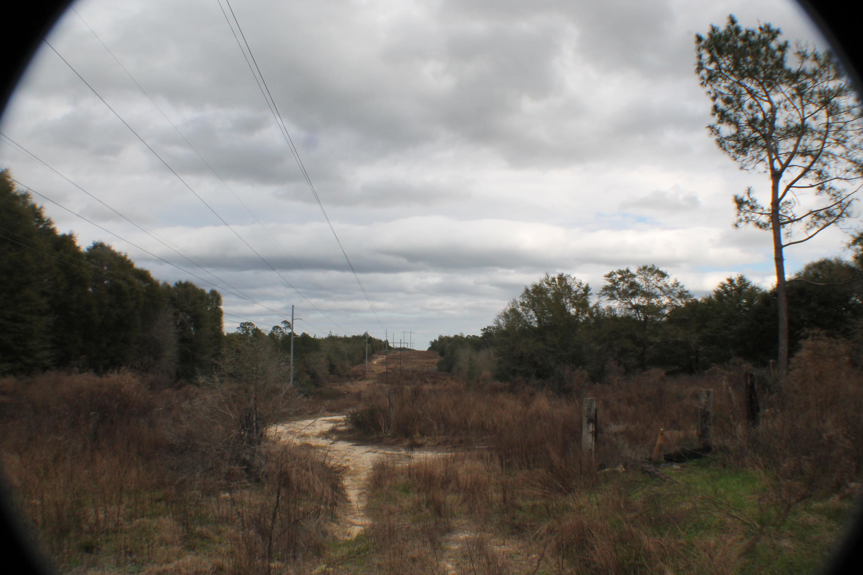 METES & BOUNDS - Land