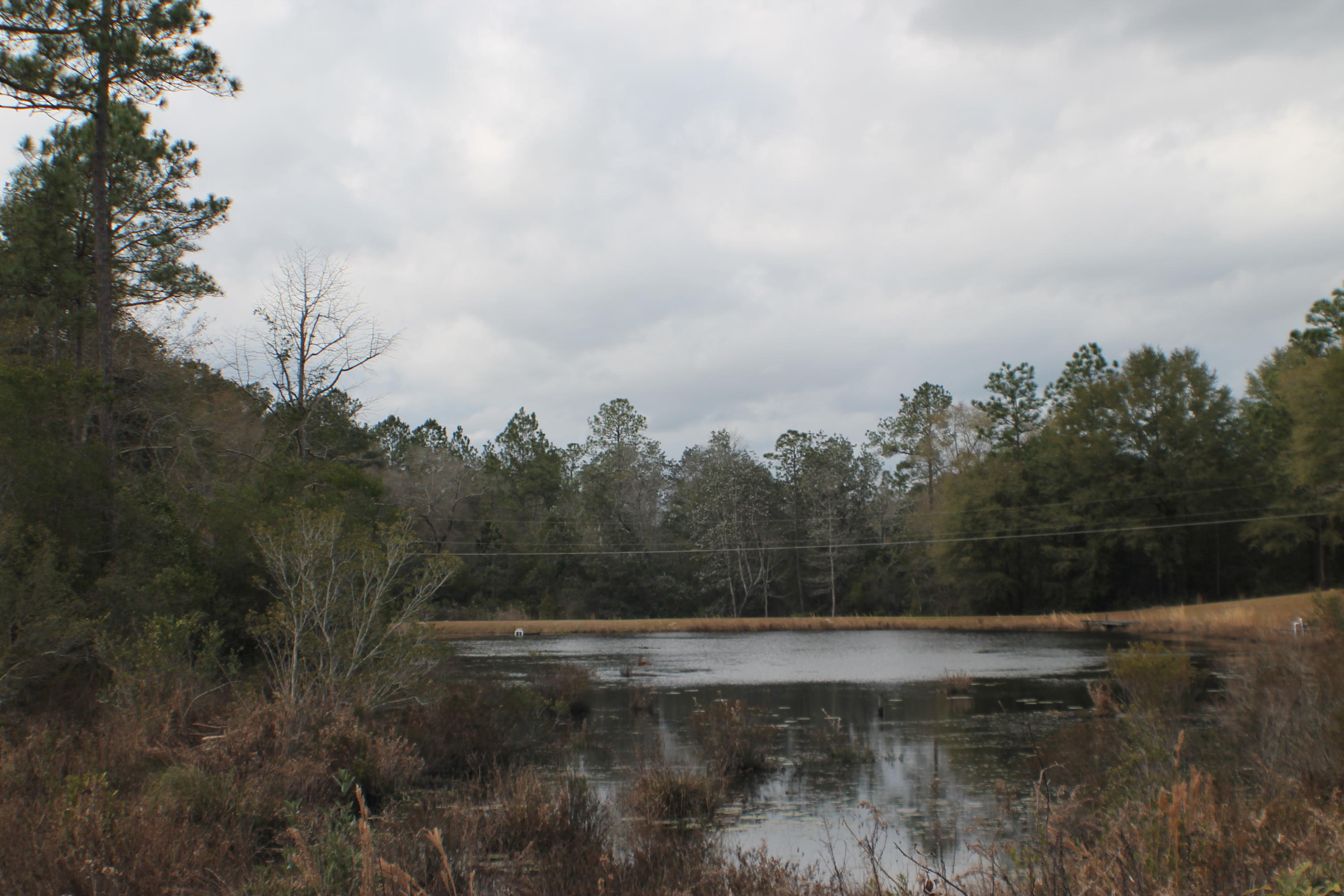 METES & BOUNDS - Land