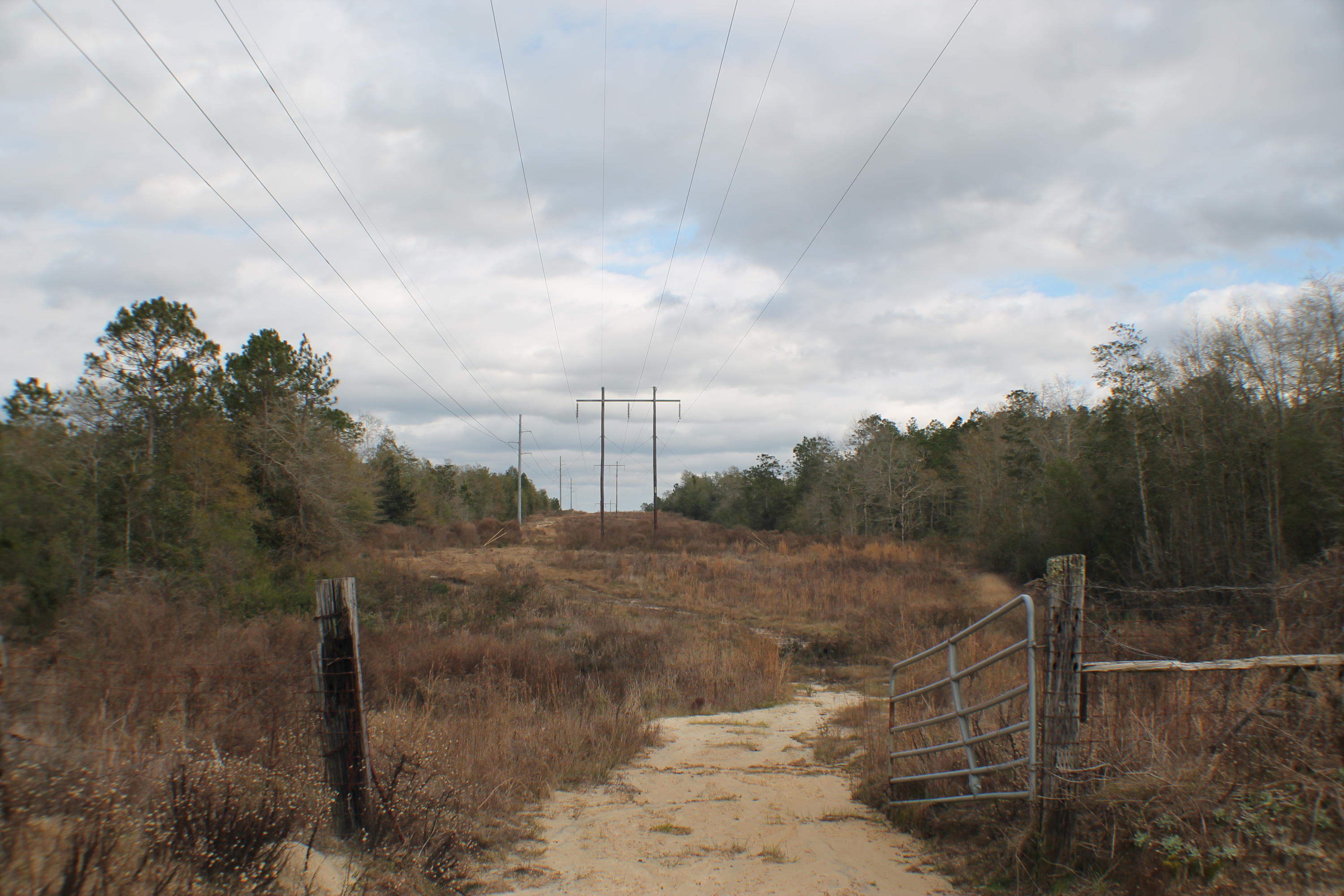 METES & BOUNDS - Land