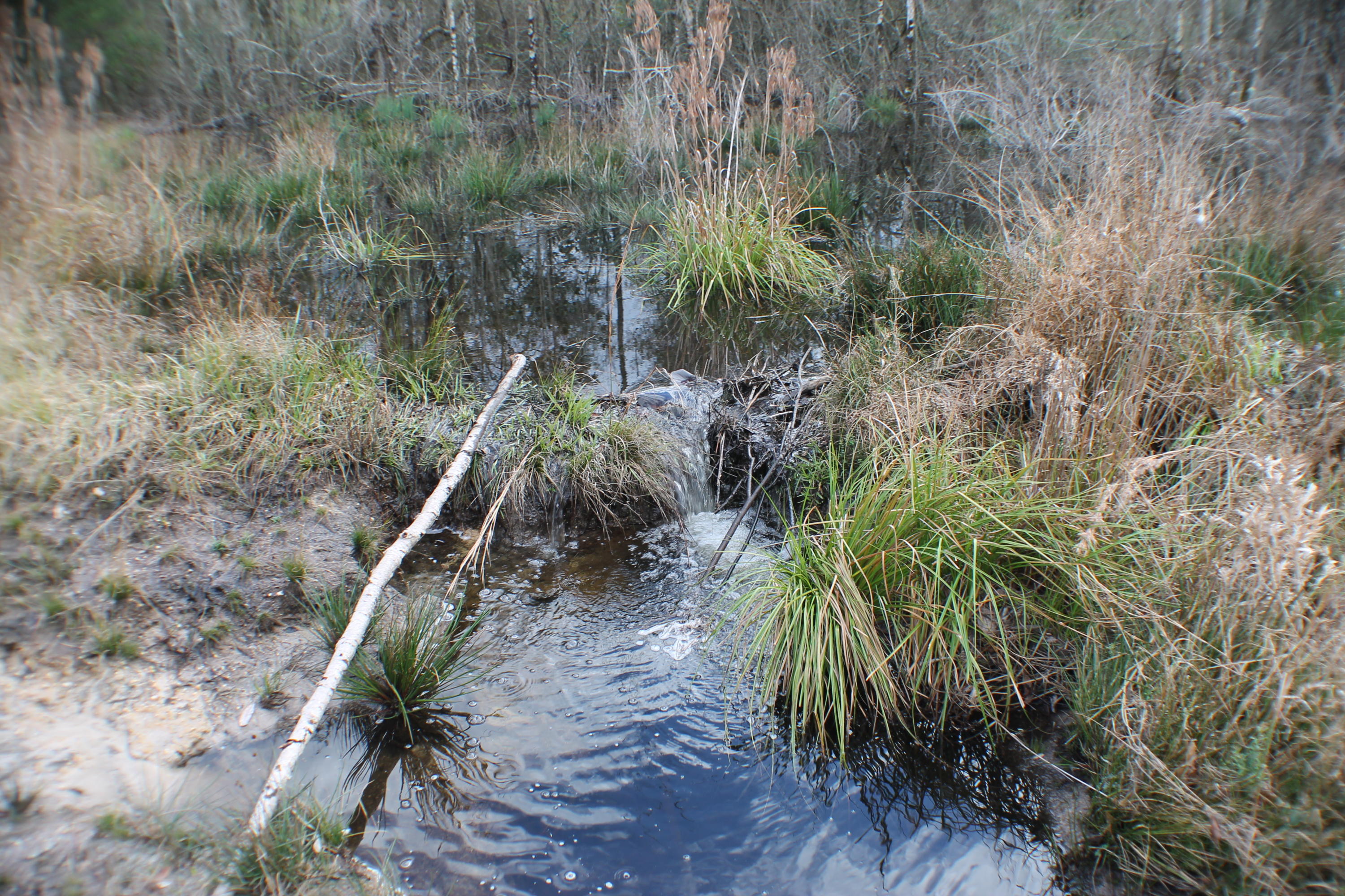 METES & BOUNDS - Land