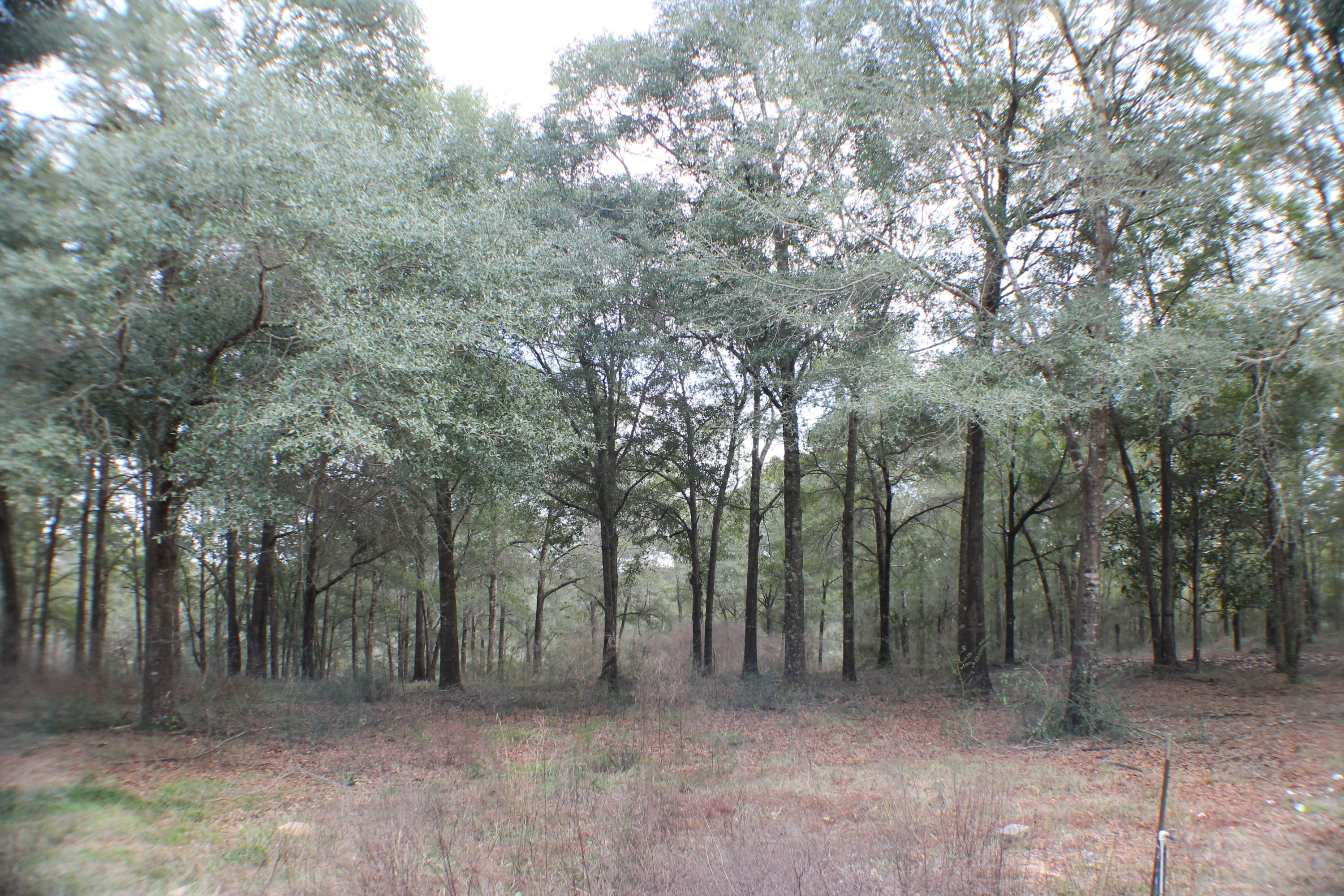 METES & BOUNDS - Land