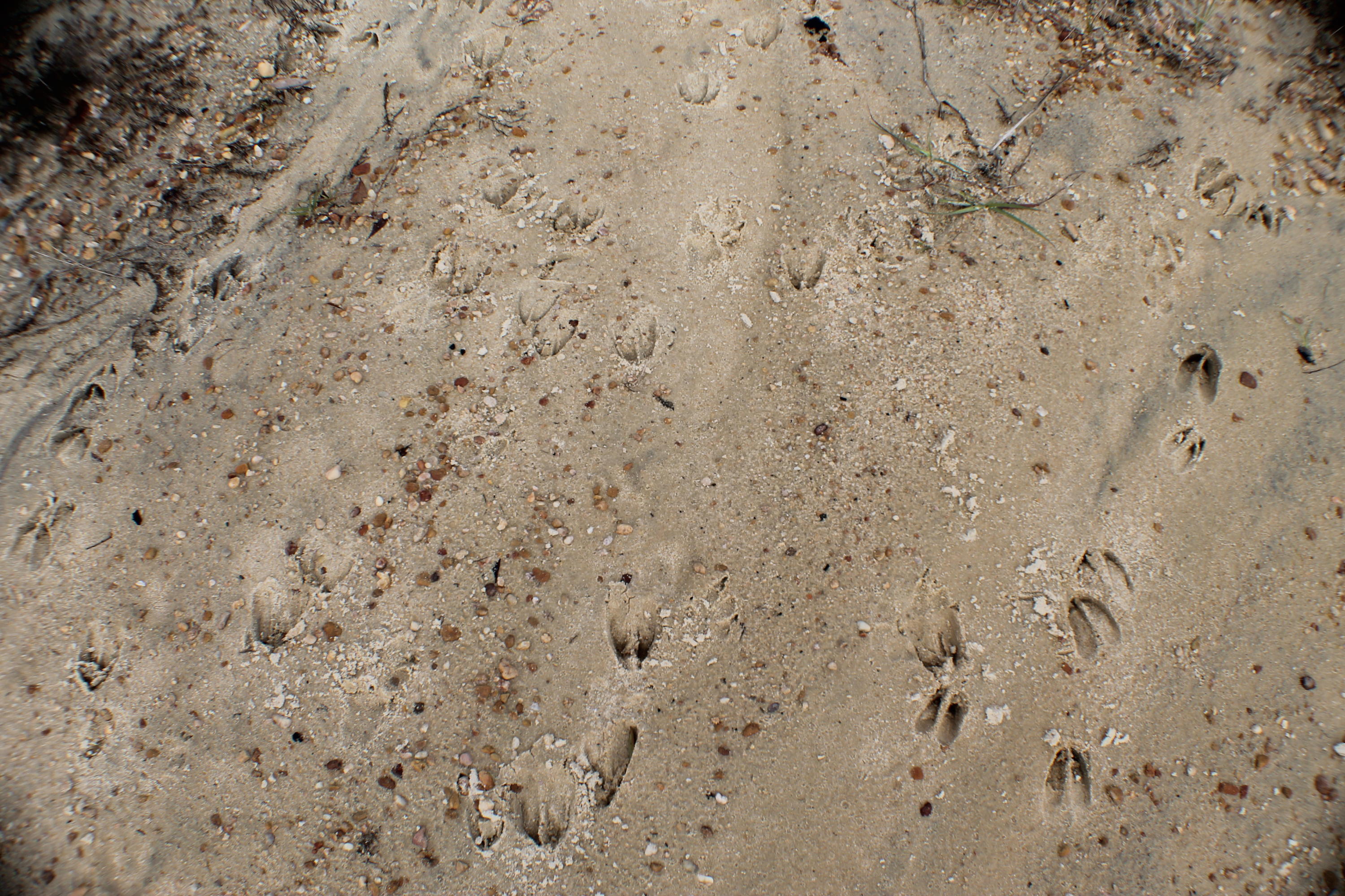 METES & BOUNDS - Land