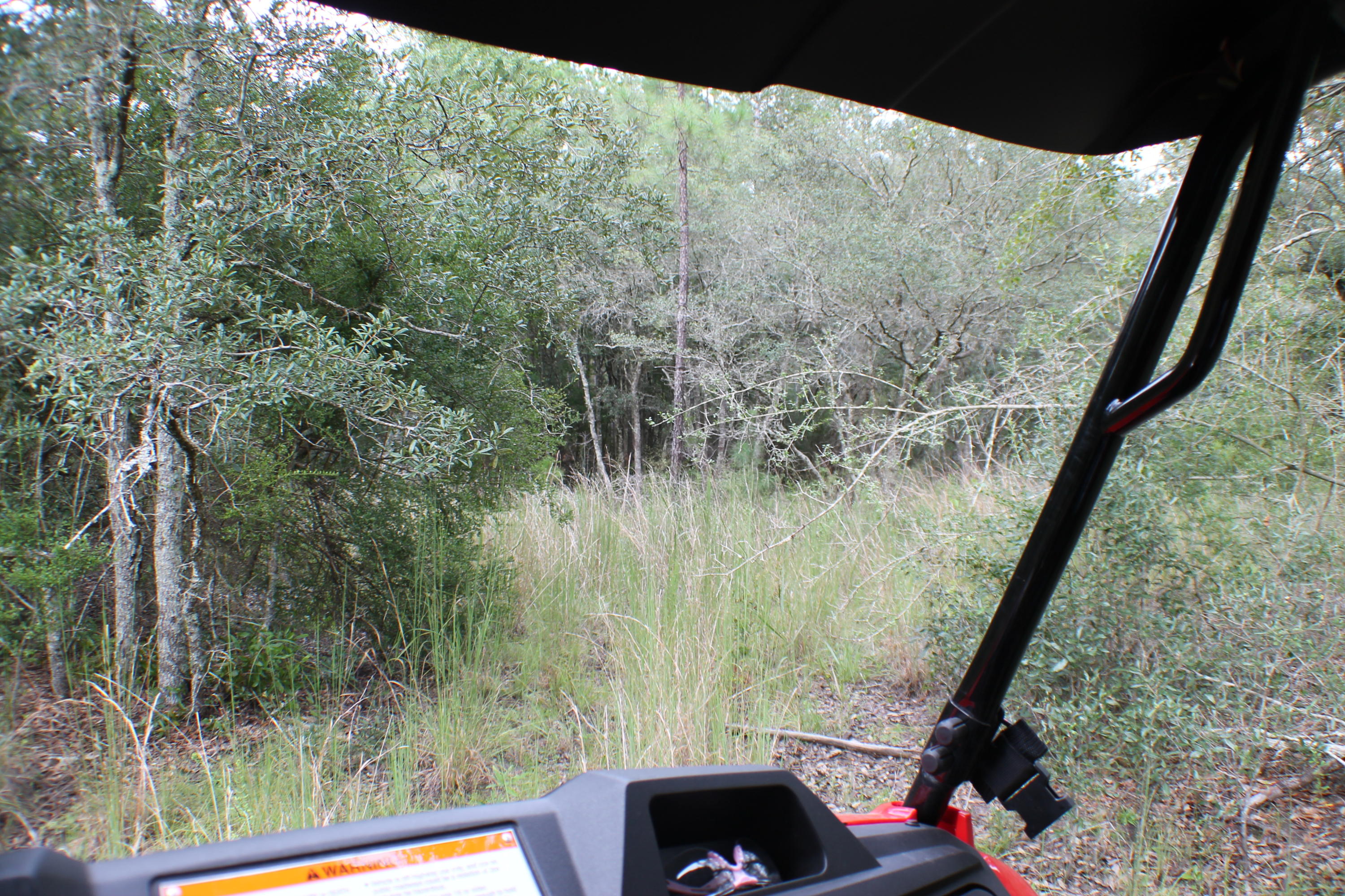 METES & BOUNDS - Land