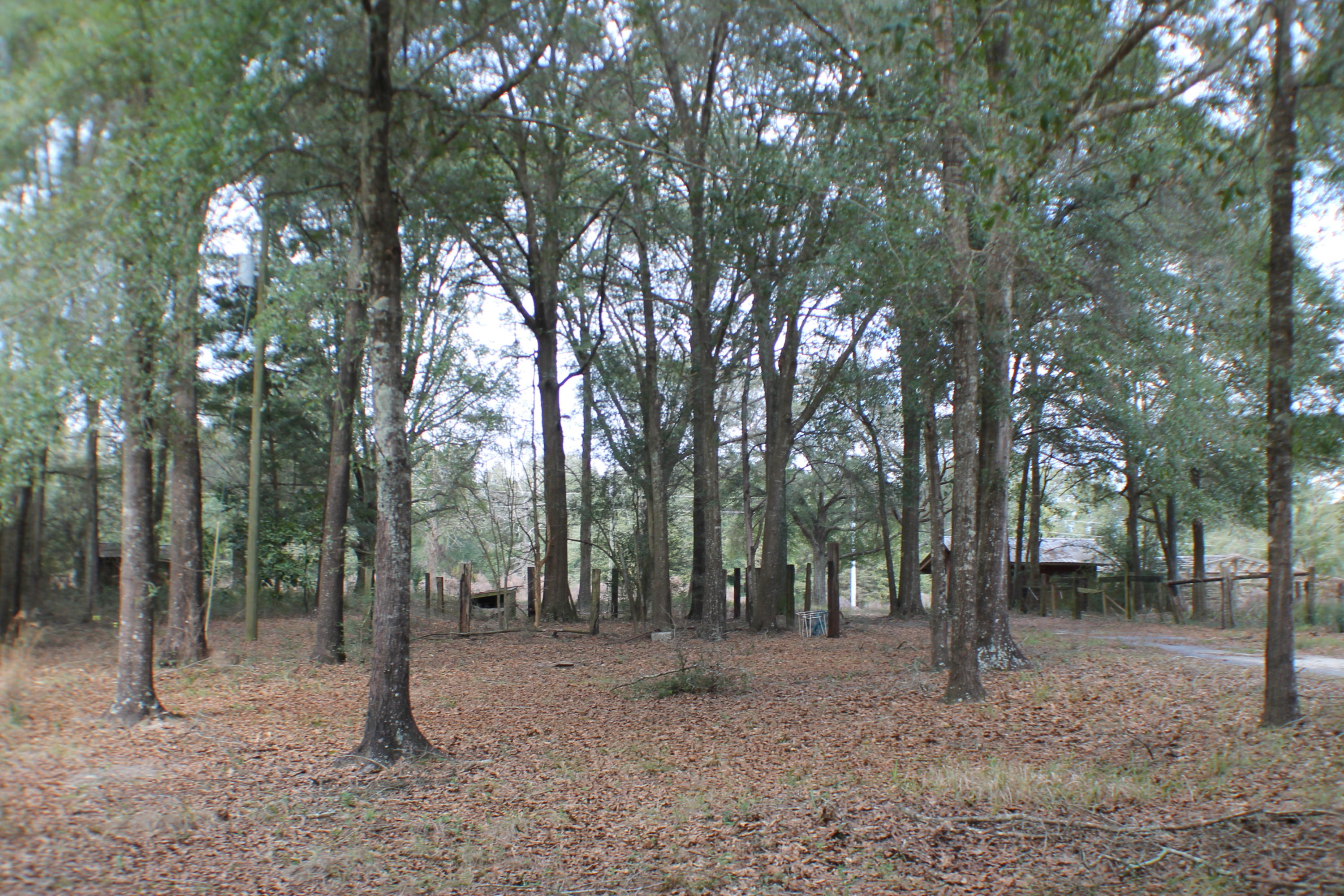 METES & BOUNDS - Land