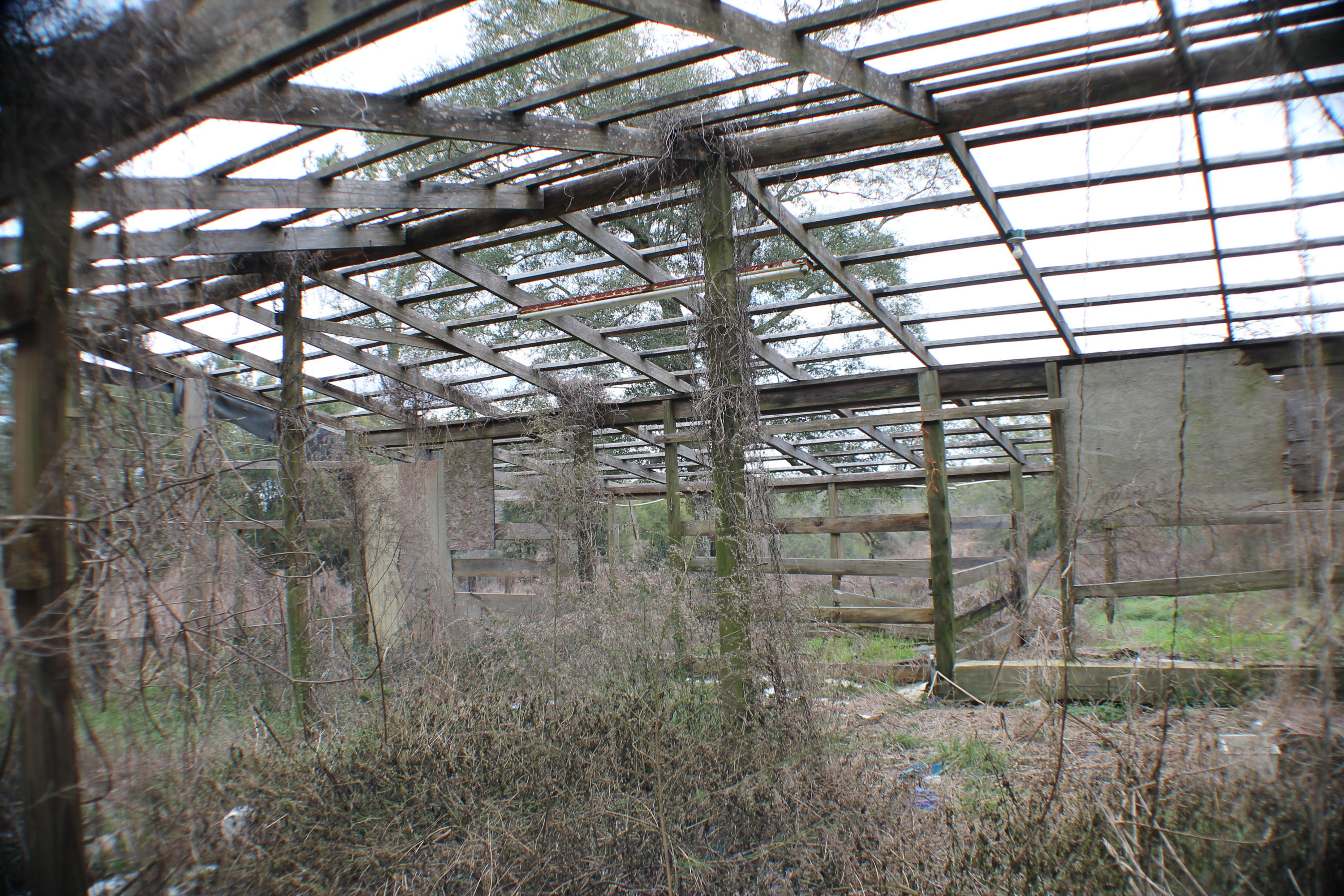 METES & BOUNDS - Land