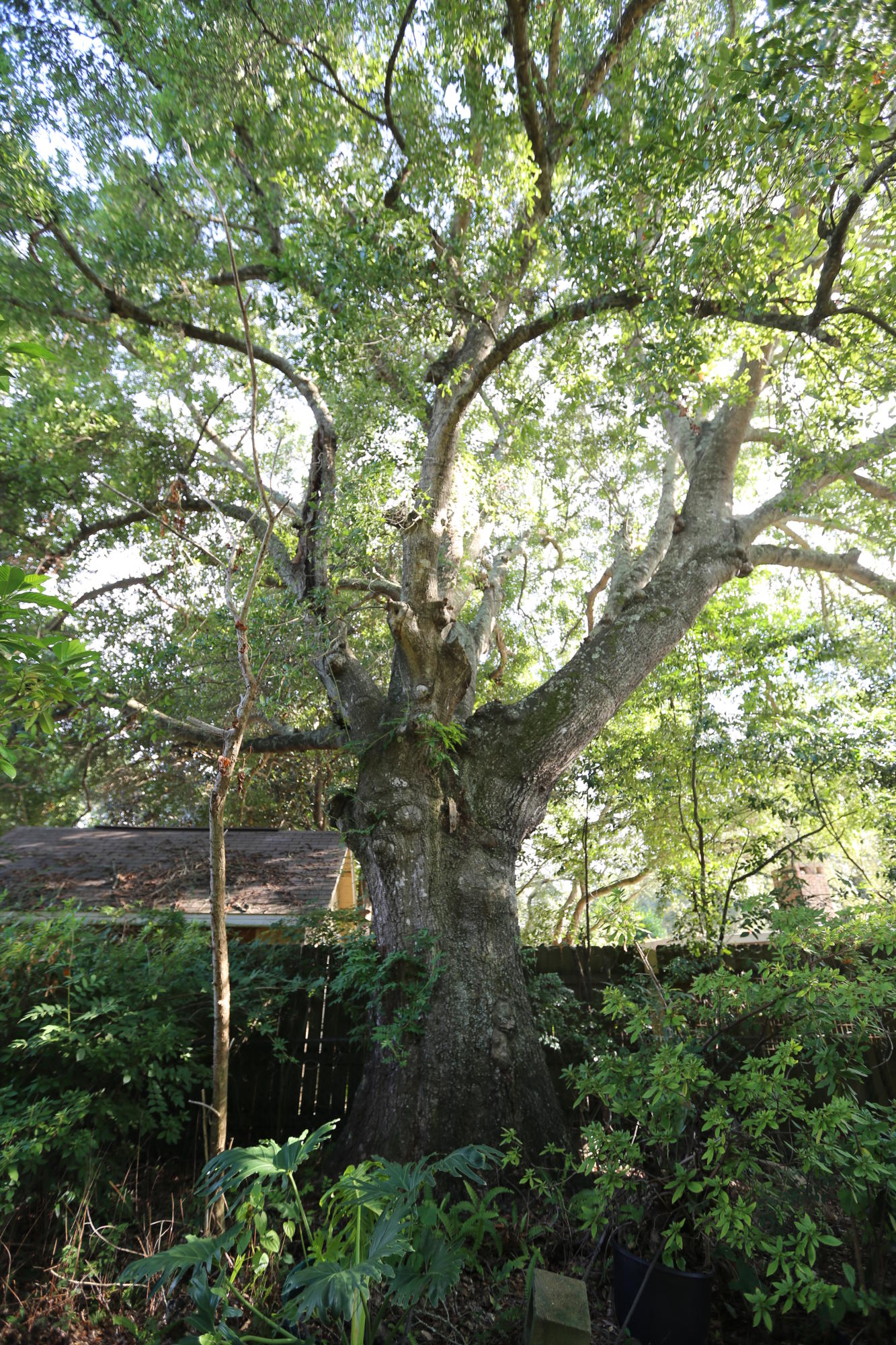 VILLA RUSS PARK - Residential