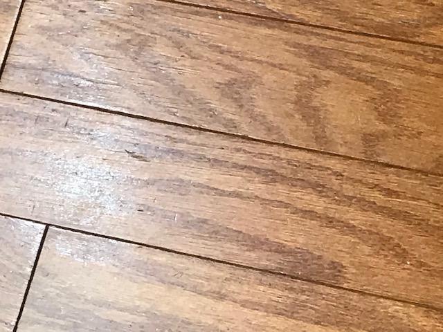 HOLLAND PLACE - Residential