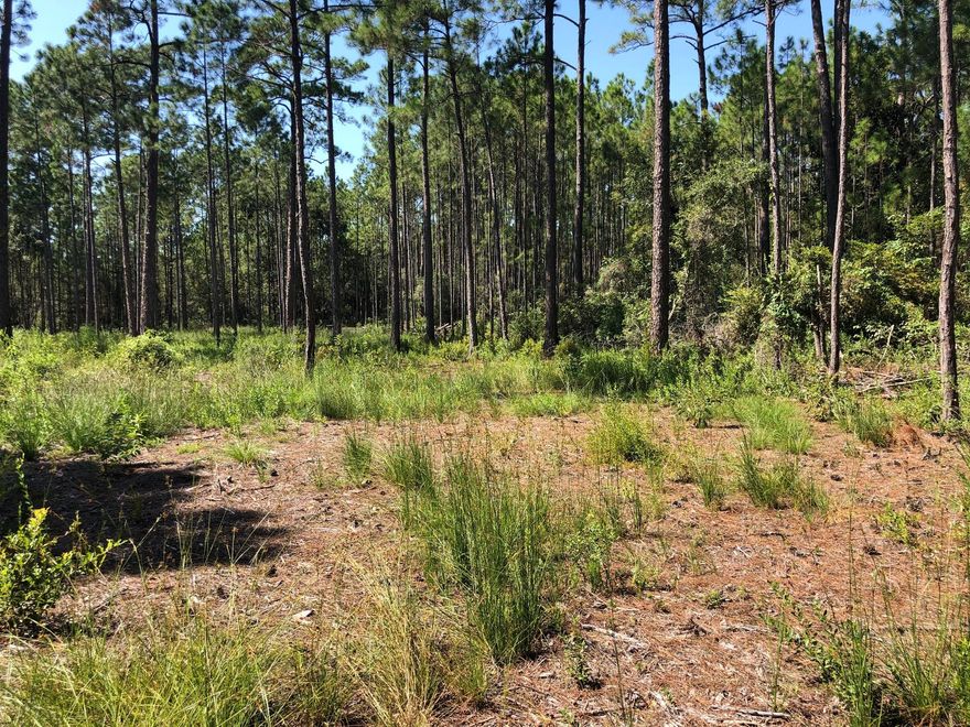 Nice 5 acre parcel on North Church St, located just off Highway 393 in Santa Rosa Beach. Lots of privacy to build a dream home, trail ride, or simply leave alone to enjoy nature. Very close to Charles Cessna Boat Ramp, with children's park, boat launch, fishing dock, picnic tables and gazebos. The lot is 10 minutes from the Beaches of 30A, Sacred Heart, and Grand Boulevard. Recently cleared, with survey and environmental studies available. Zoned as Conservation Residential, which is 1 unit per 2.5 acres. 2+ acres of upland. The remaining acreage can be used for agriculture, horses, etc.