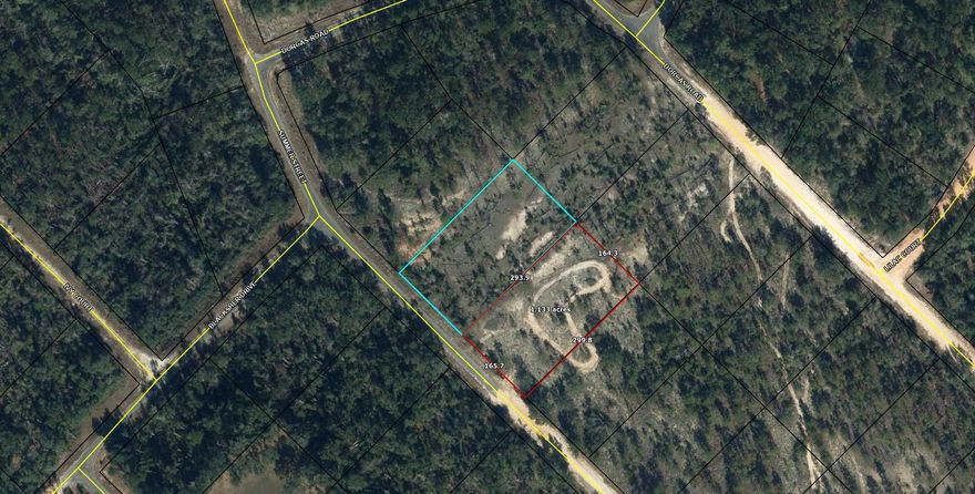 Large 1.126 acre lot in Compass Lake in the Hills. There is a voluntary HOA of $135 a year, but what a great price for all the amenities that are included such as: access to 2 lakes for fishing, tennis, horse stables / riding, rental cabins, RV spots, boat rentals, clubhouse, and a golf range. Being an all-sports lake, enjoy water skiing, tubing, jet skiing, boating, sailing, kayaking & swimming. No need to worry about lunch while out on the water when you have a boat accessible shoreline restaurant. This location is great for someone who enjoys nature and a short drive to the beach since it is located half way between Panama City And Dothan. The area is rich in historical significance, with many restored antebellum plantation homes open for tours or as bed-and-breakfast