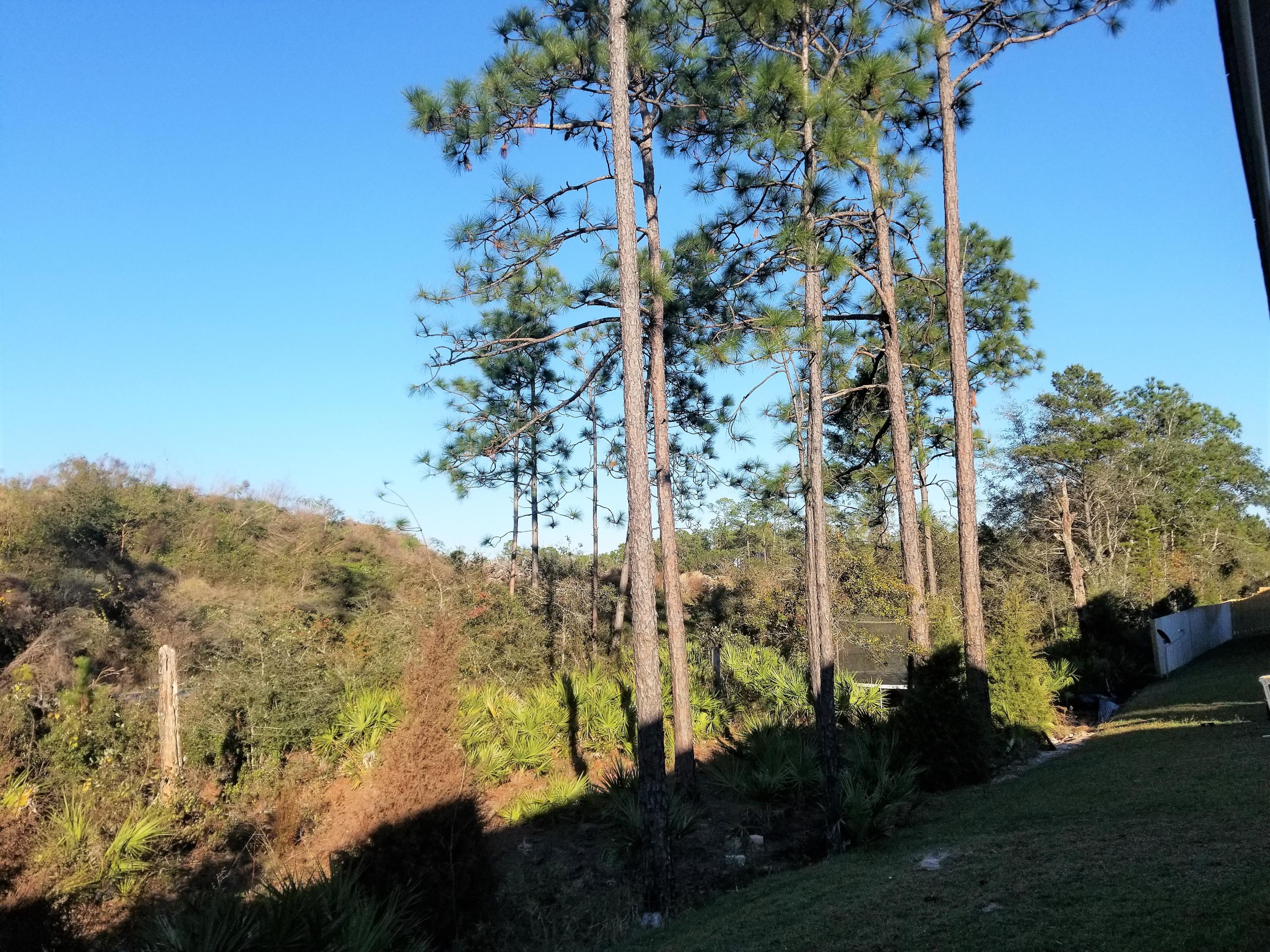 Peach Creek, Phase 4 - Residential