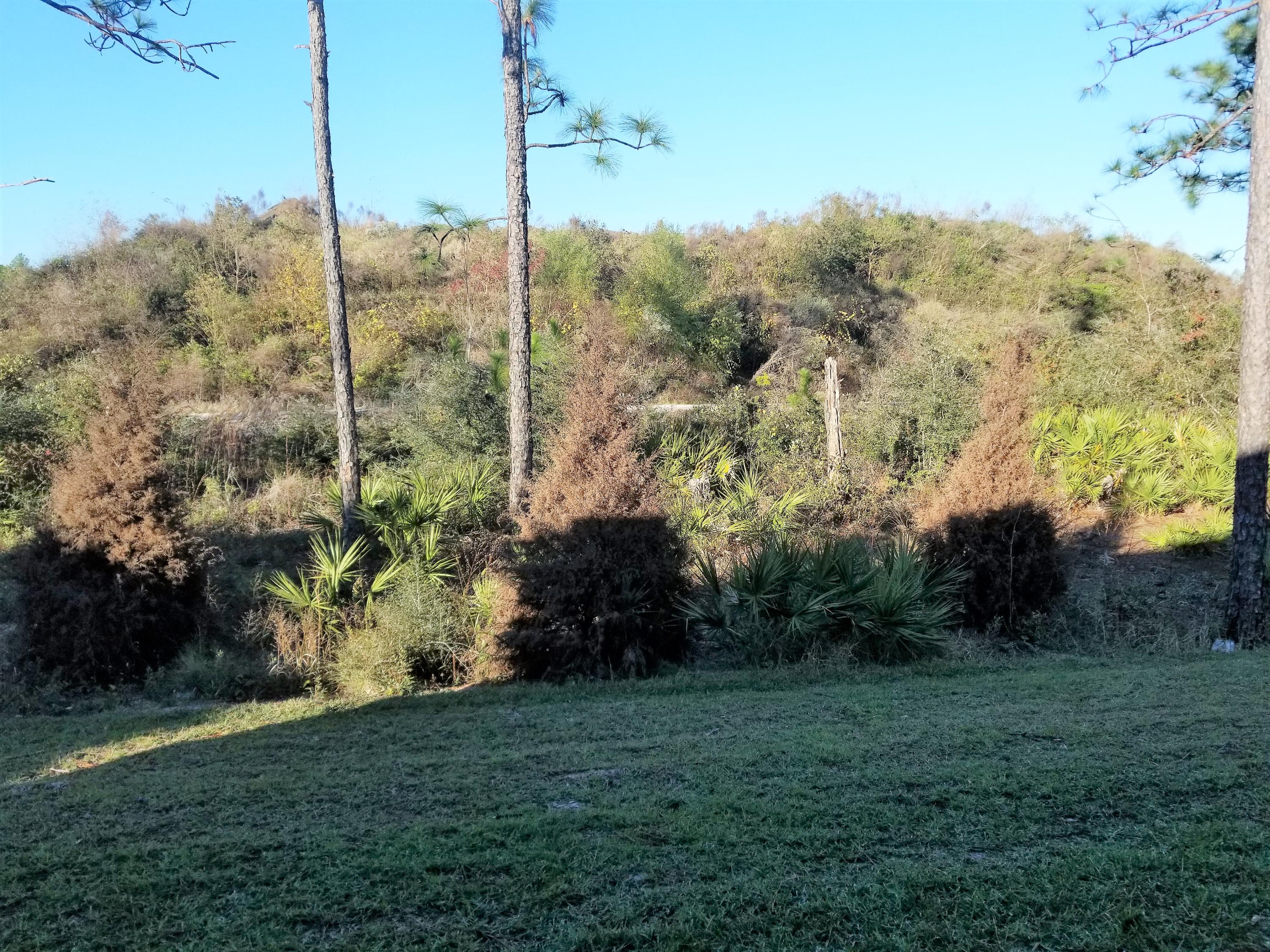 Peach Creek, Phase 4 - Residential