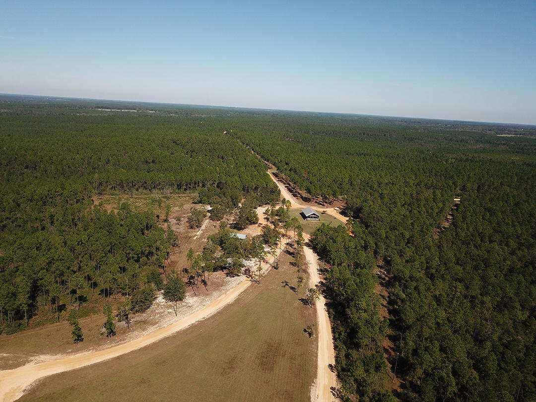 WALTON PLANTATION - Land