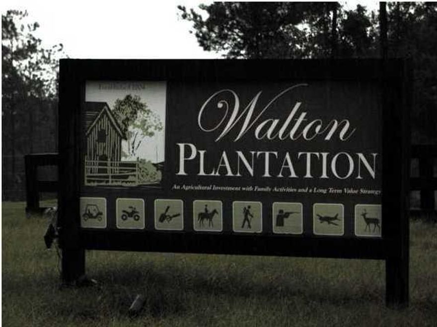 Now is your chance to grab your piece of the great outdoors inside Walton Plantation. Whether you want a hunting get away, weekend retreat, or dream home away from it all...this is your chance. This 15.4 acre piece, with available power, inside the gated plantation, is perfect for hunting, fishing, atv riding even has a community garden and chapel. You also have access to thousands of acres of recreational land.