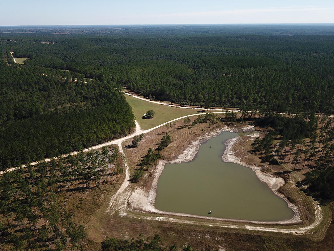 WALTON PLANTATION - Land