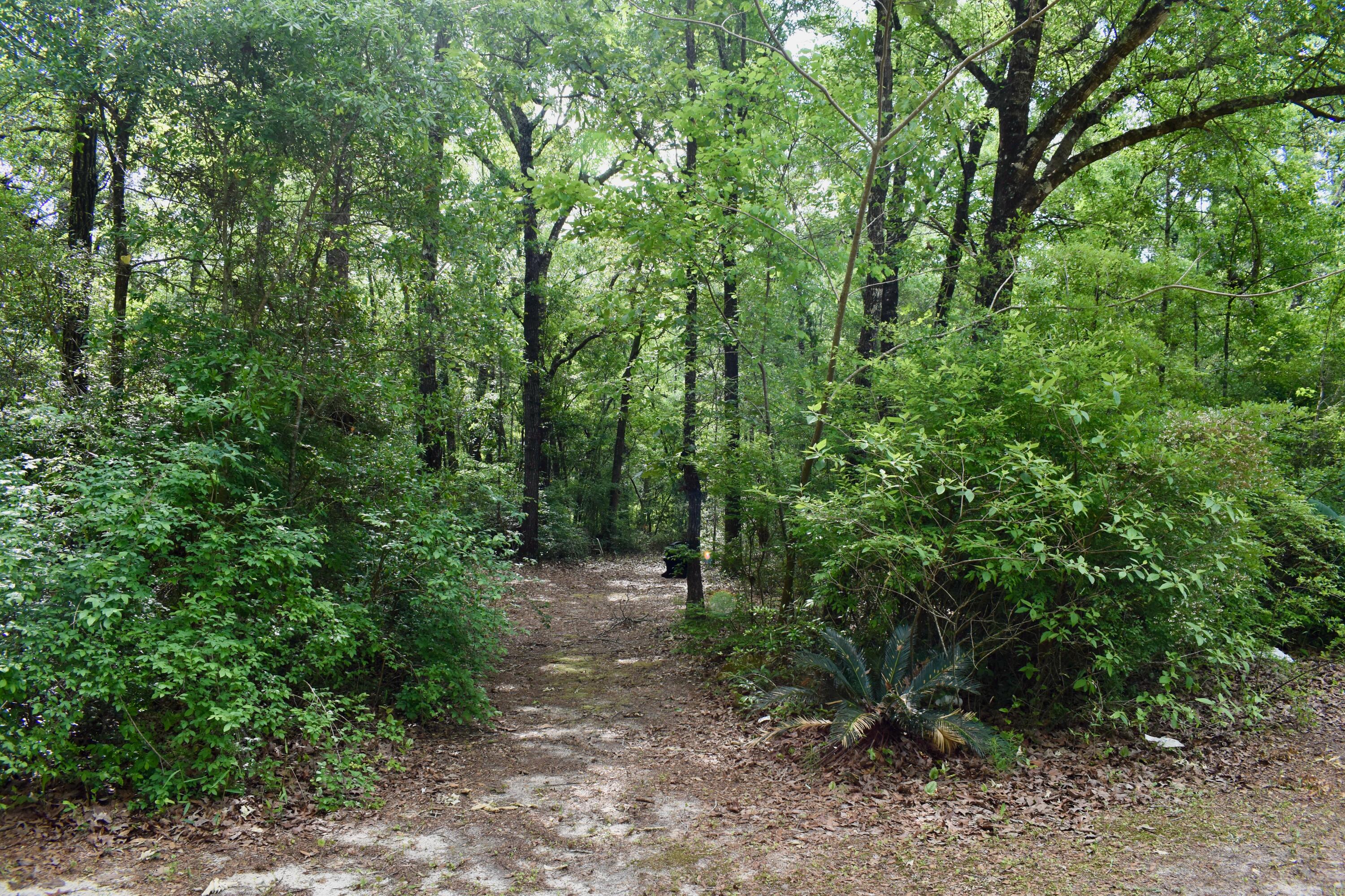 LAKEWOOD PLANTATIONS - Residential